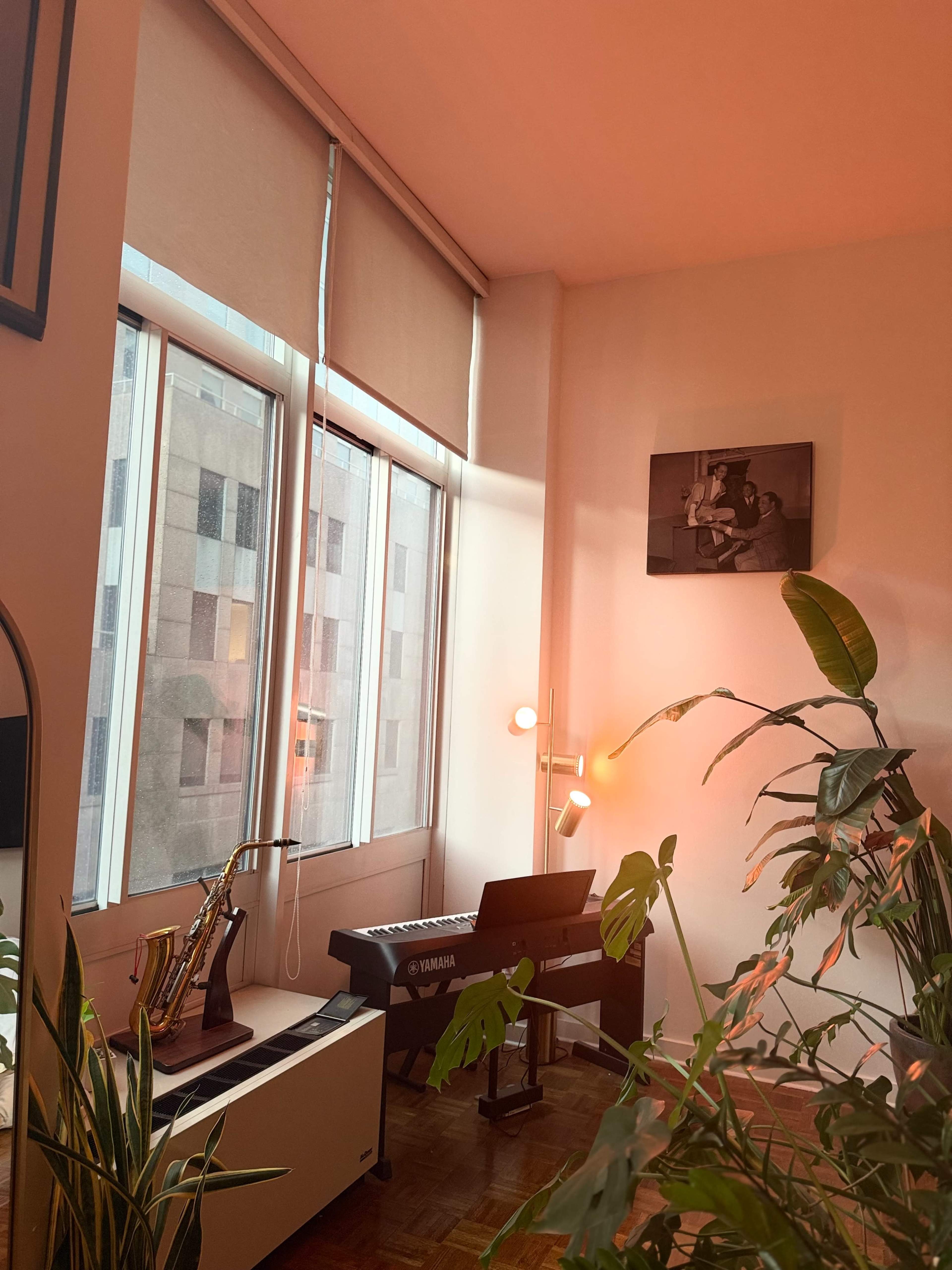 Urban Studio w/ High Ceilings and Music/Cultural Decor Image in Downtown Brooklyn, Brooklyn, NY