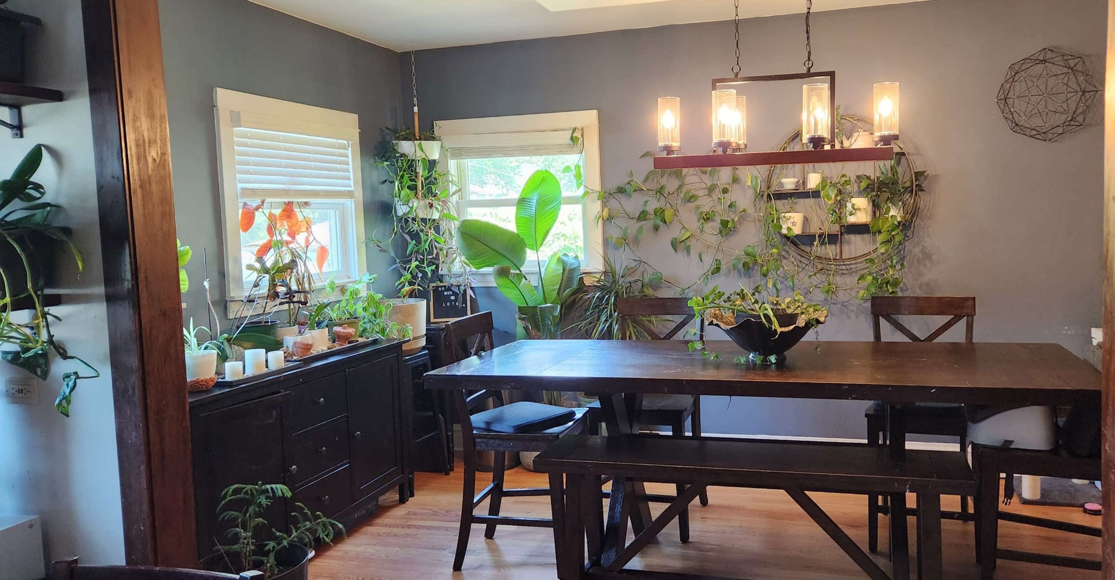 A dining area with a wooden table and benches, surrounded by plants and decorative lighting on the walls.