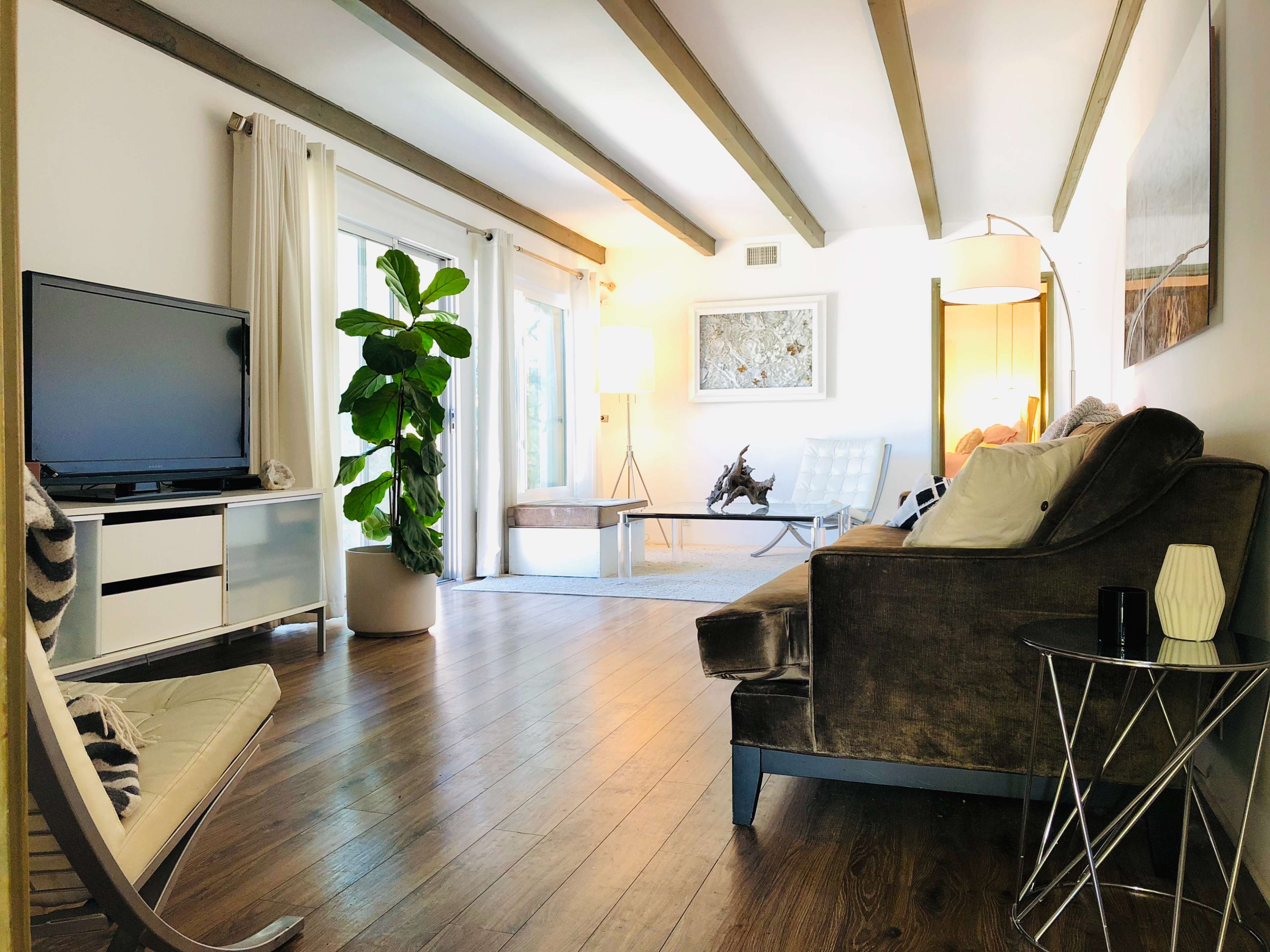 A spacious living room features a large window, a television, a leafy plant, and various seating arrangements arranged around a light-colored carpet.