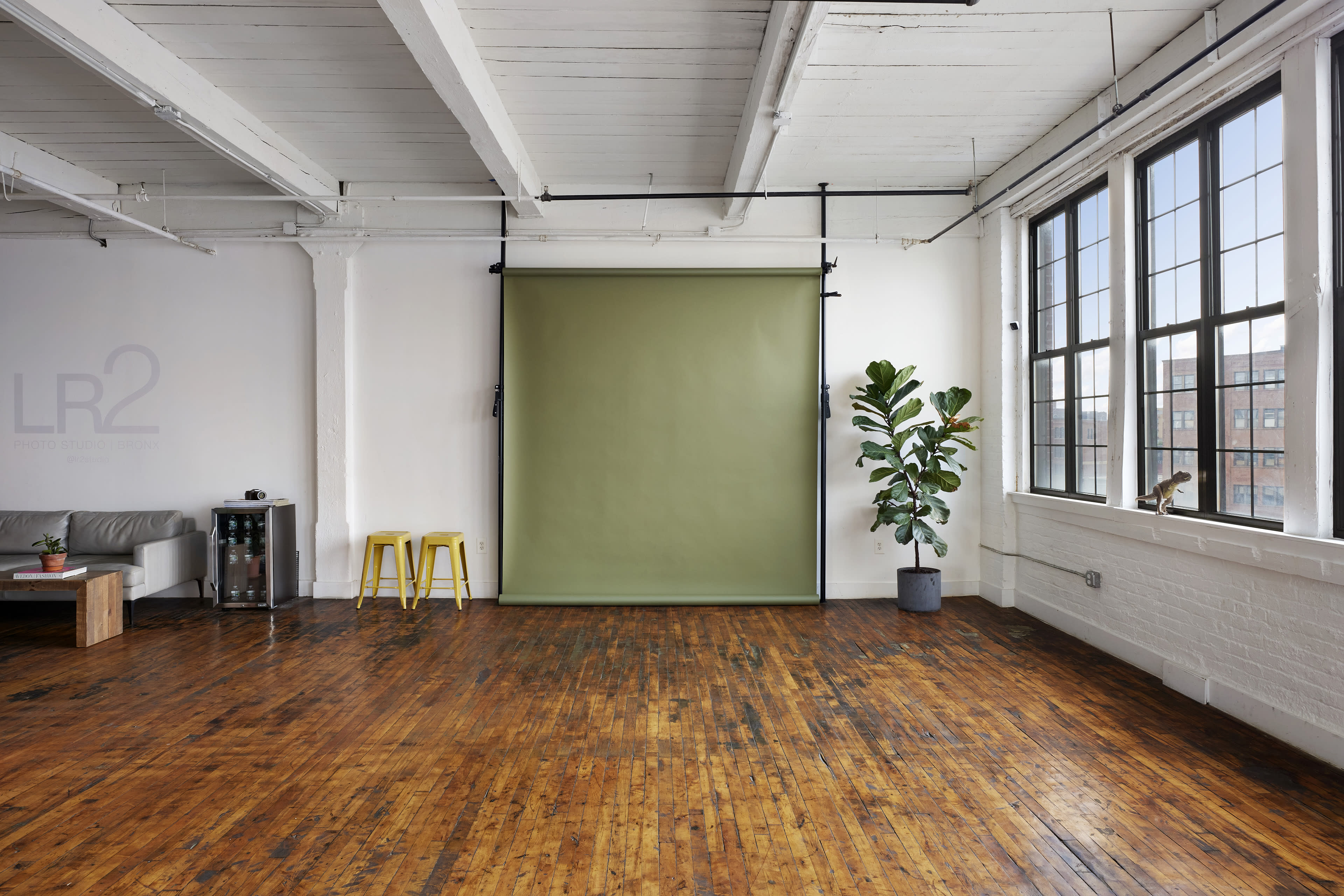 A spacious room with a wooden floor, featuring a green backdrop, a potted plant, and large windows allowing natural light.