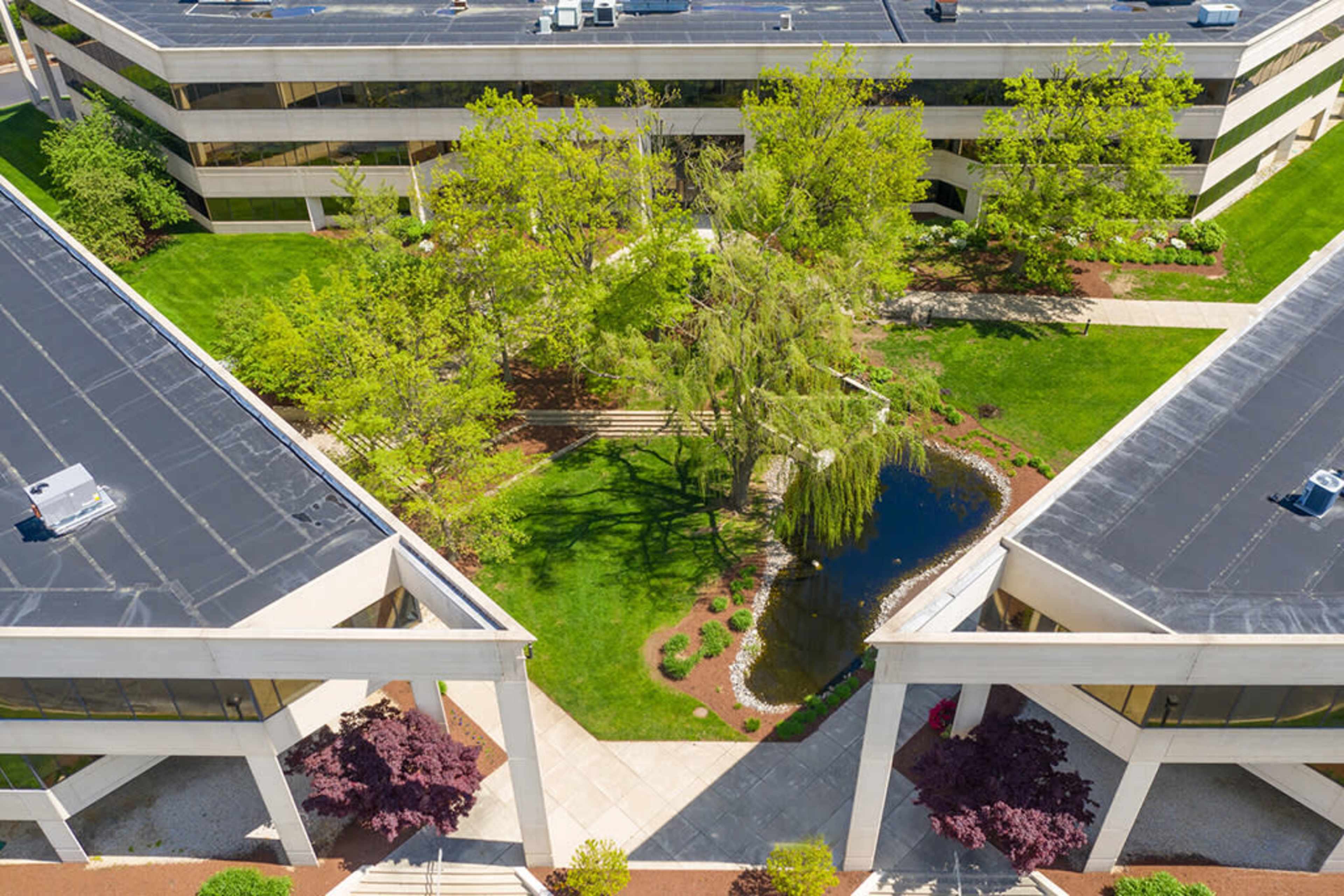 The image shows a well-maintained outdoor area featuring a small pond surrounded by trees and landscaped pathways, adjacent to modern buildings.
