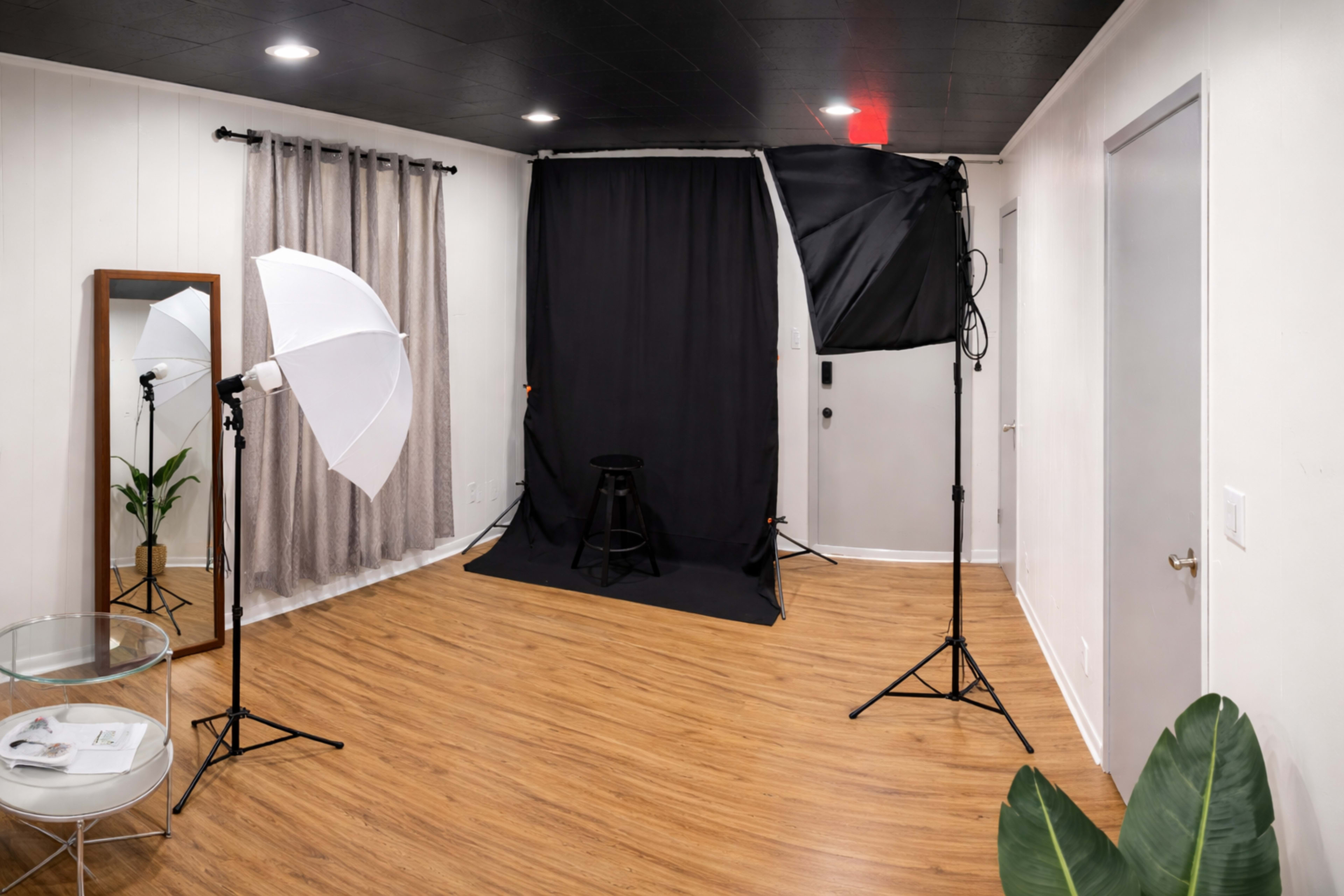 The image shows a photography studio setup with lighting equipment, a black backdrop, a stool, and a plant in a room with wooden floors.