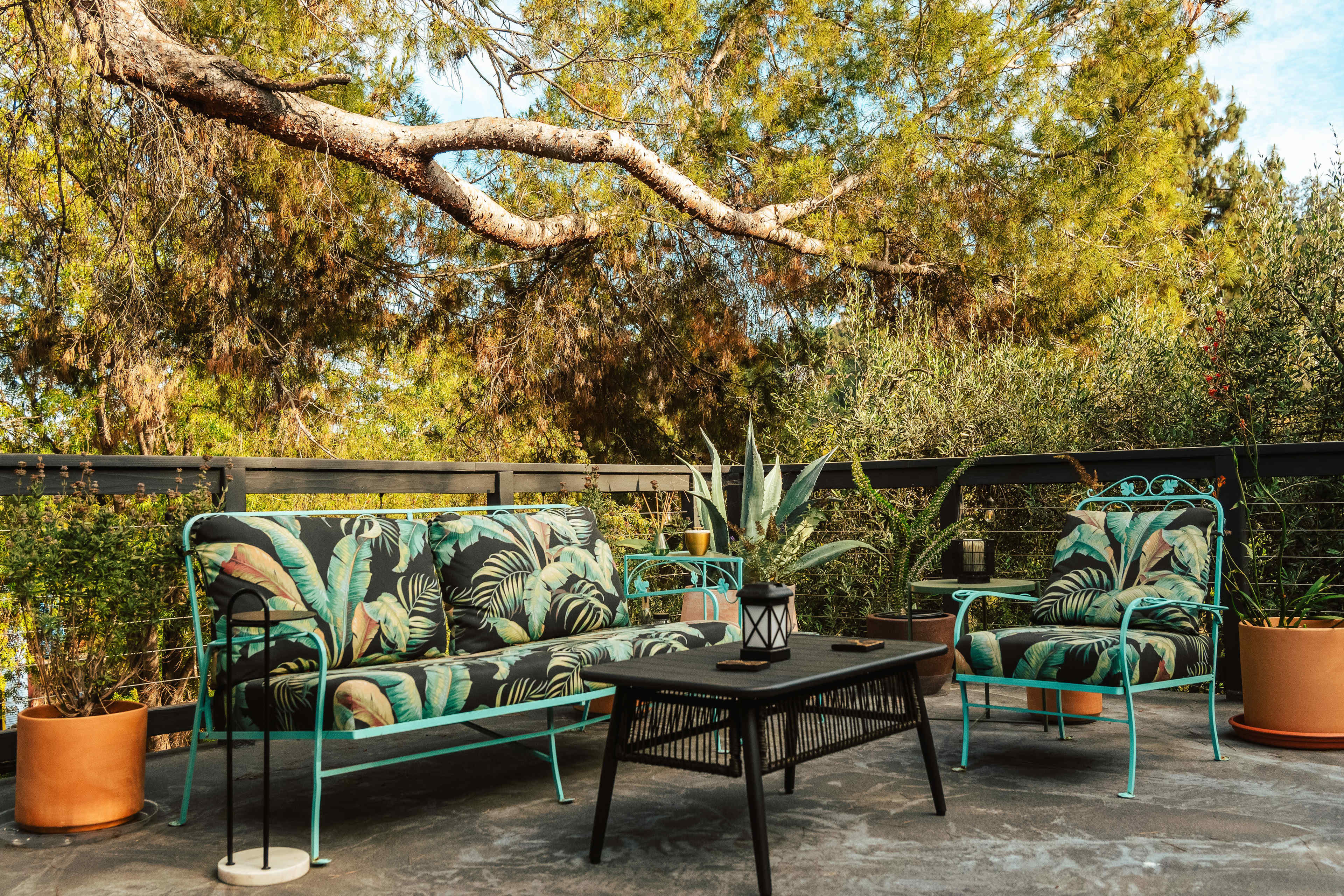 CHARMING TREEHOUSE: FITNESS & INFLUENCER HAVEN Image in Northeast Los Angeles, Los Angeles, CA