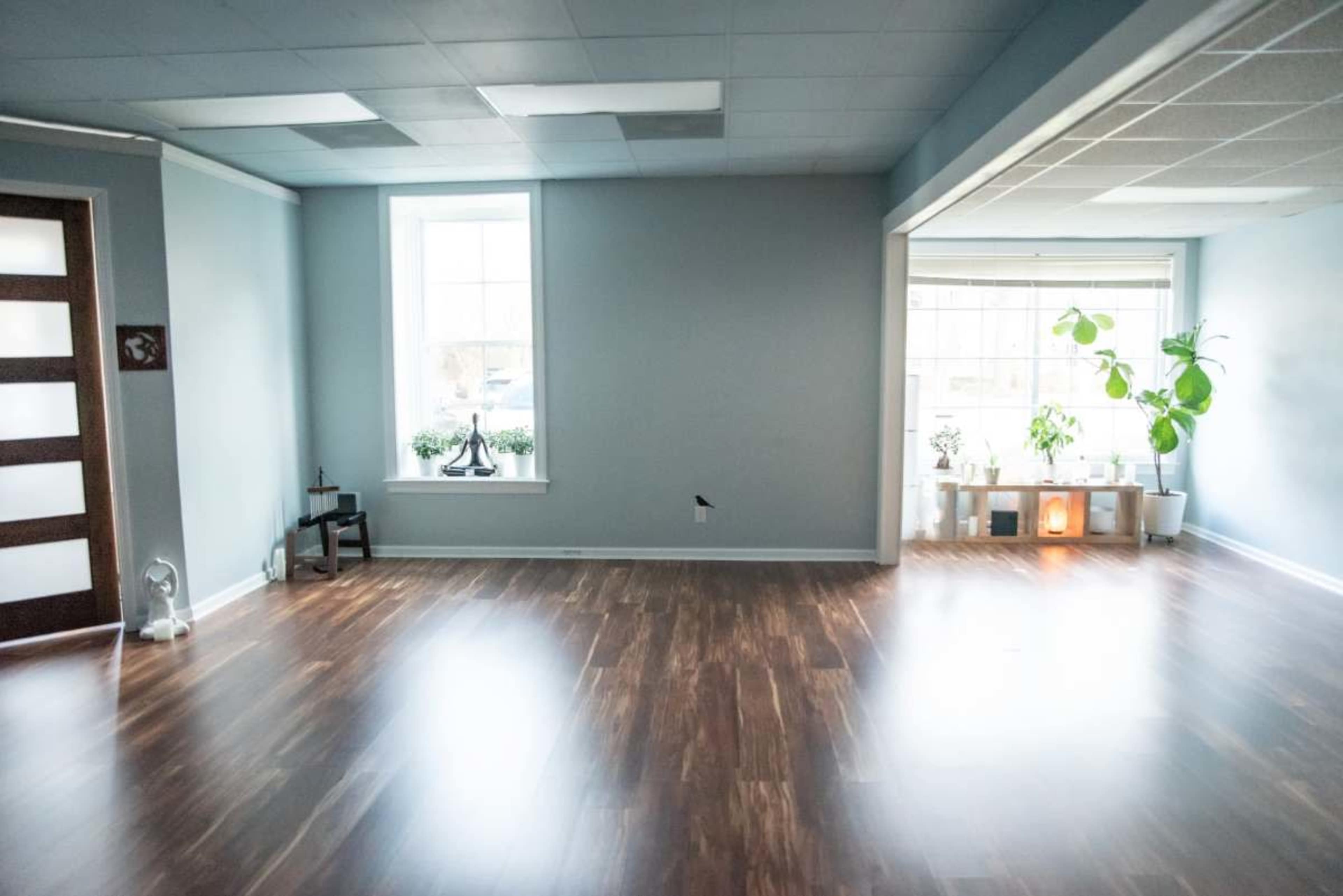 Yoga Studio with Treatment Room Space Image in Virginia Beach, Virginia Beach, VA