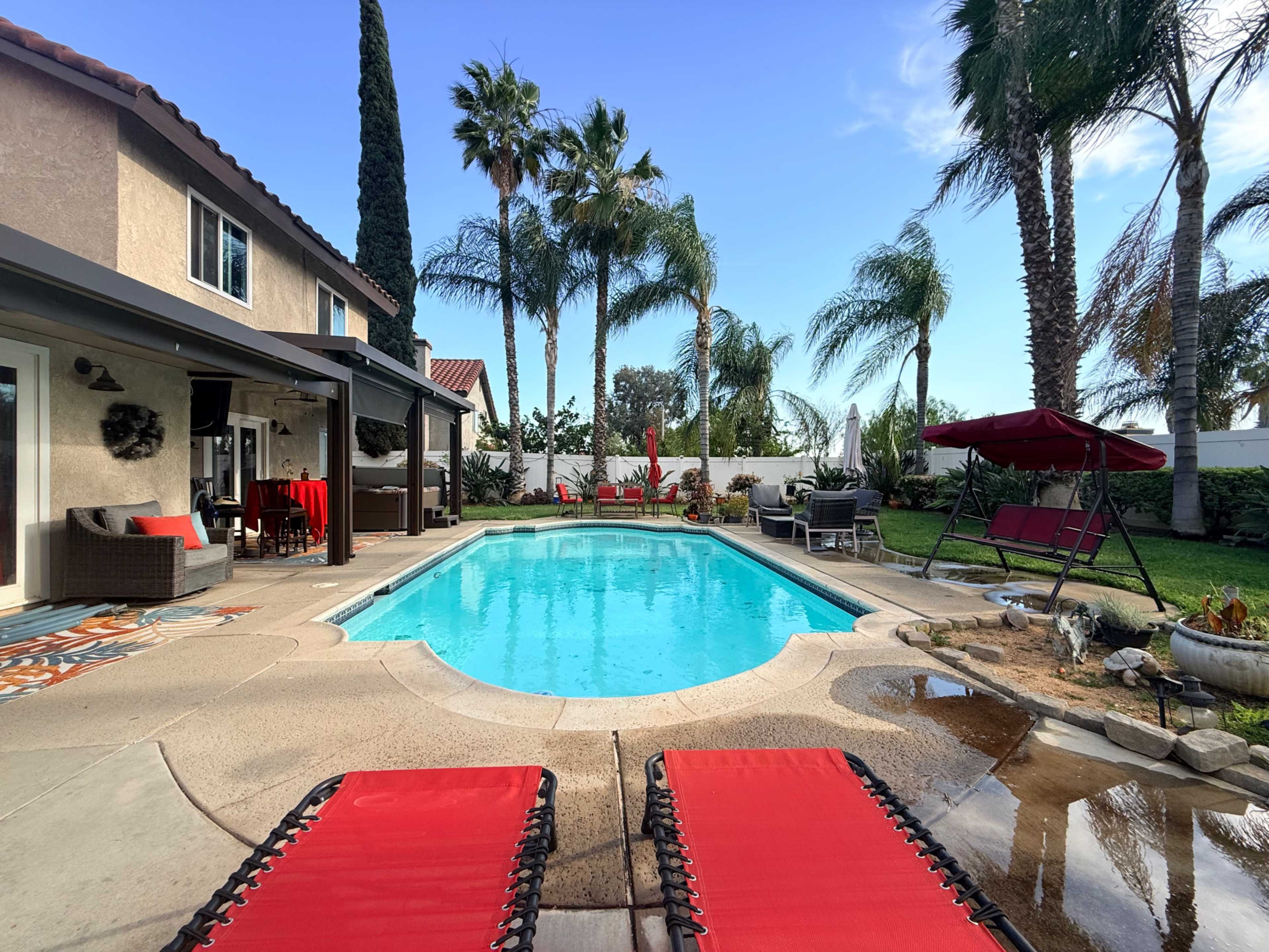 A clear swimming pool is surrounded by palm trees and outdoor furniture in a sunny backyard setting.