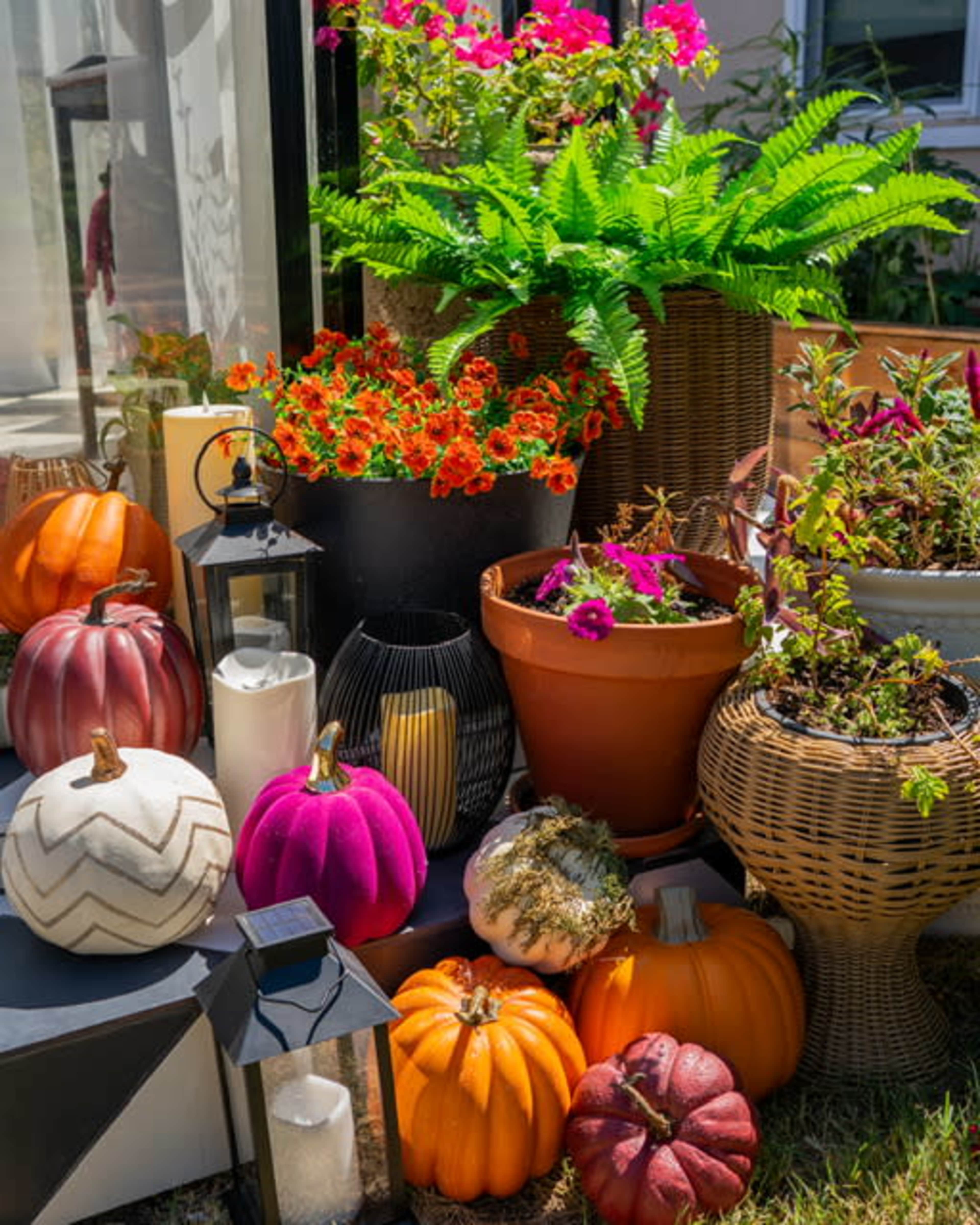 The scene shows a colorful assortment of pumpkins and decorative plants arranged on a porch, with a variety of containers and lanterns scattered among them.