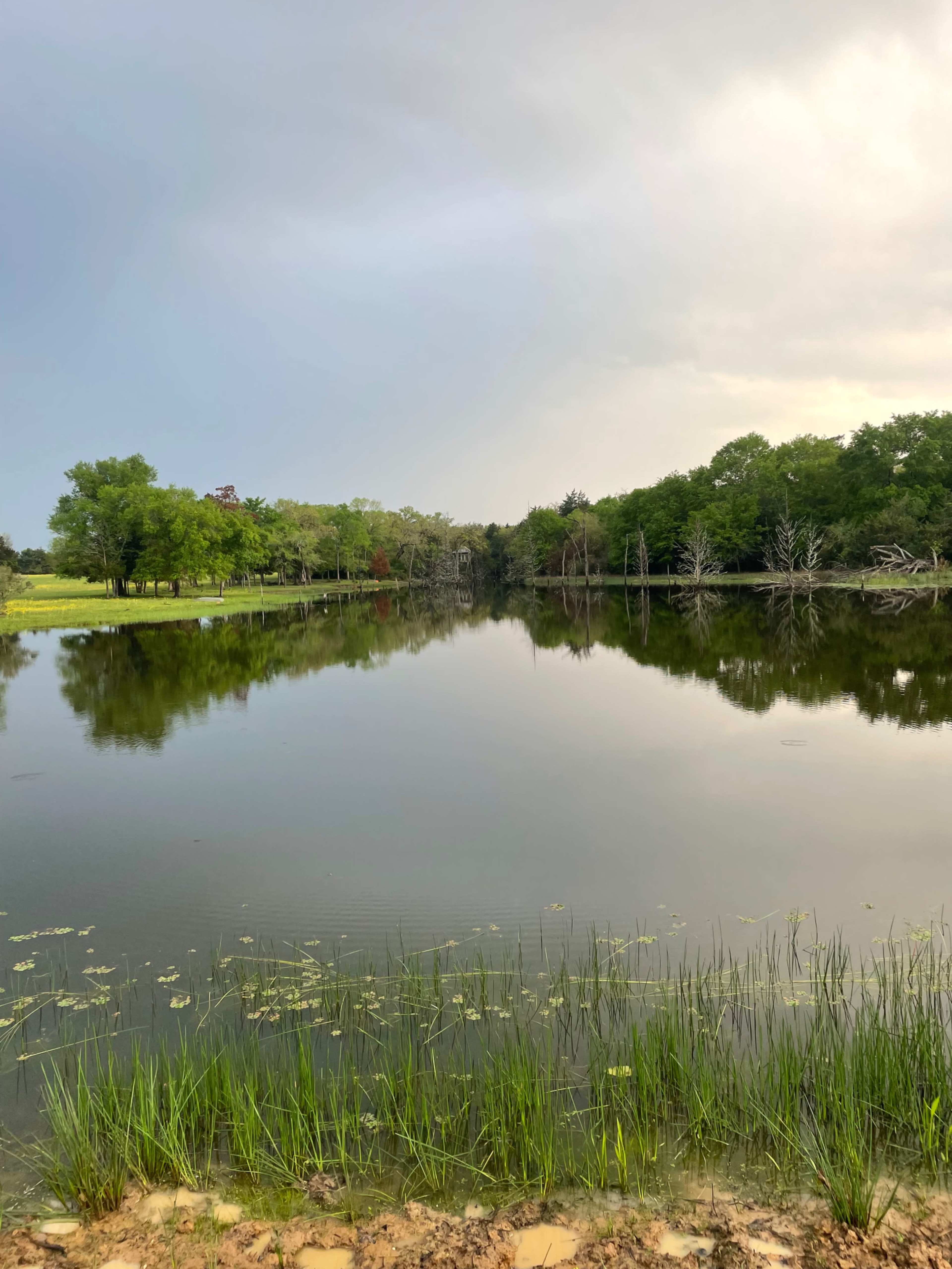 A calm lake reflects surrounding trees and a cloudy sky.