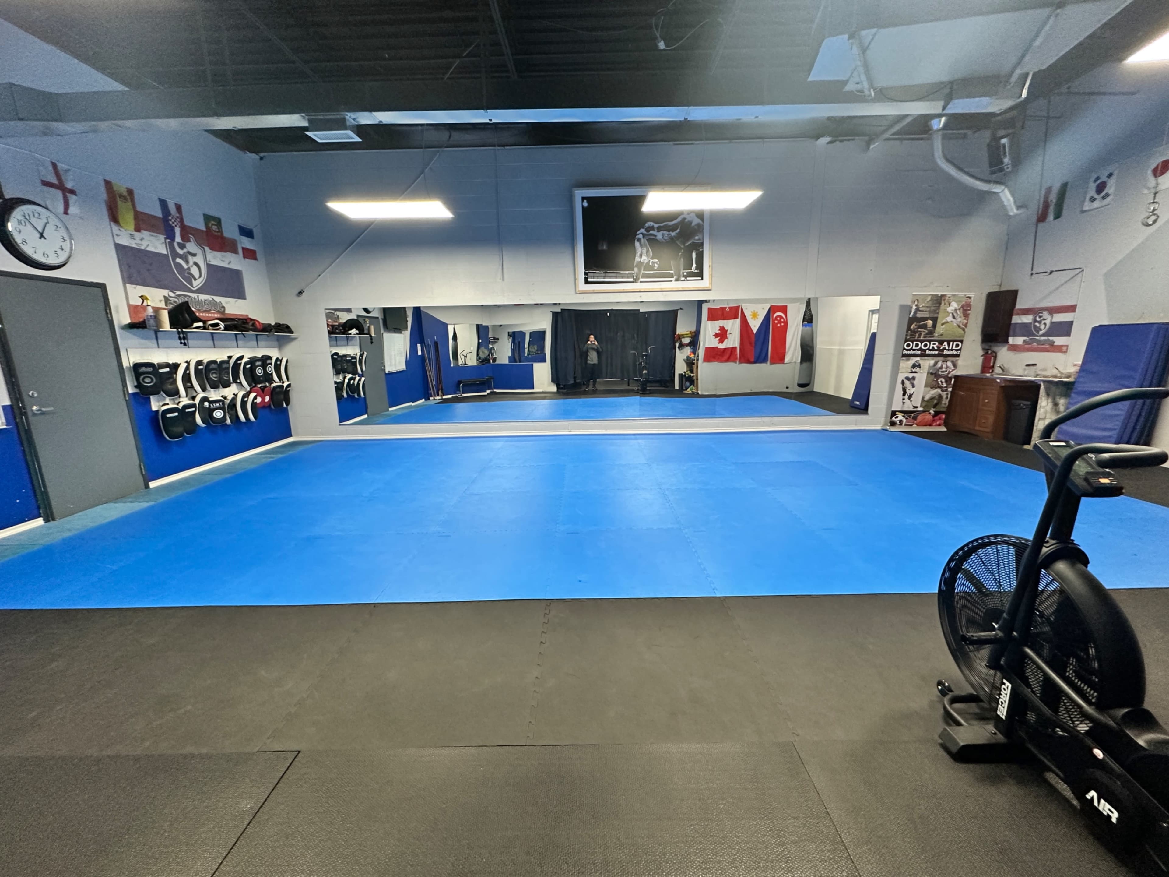 The image shows a martial arts training studio with blue mats, black flooring, and various flags displayed on the walls.