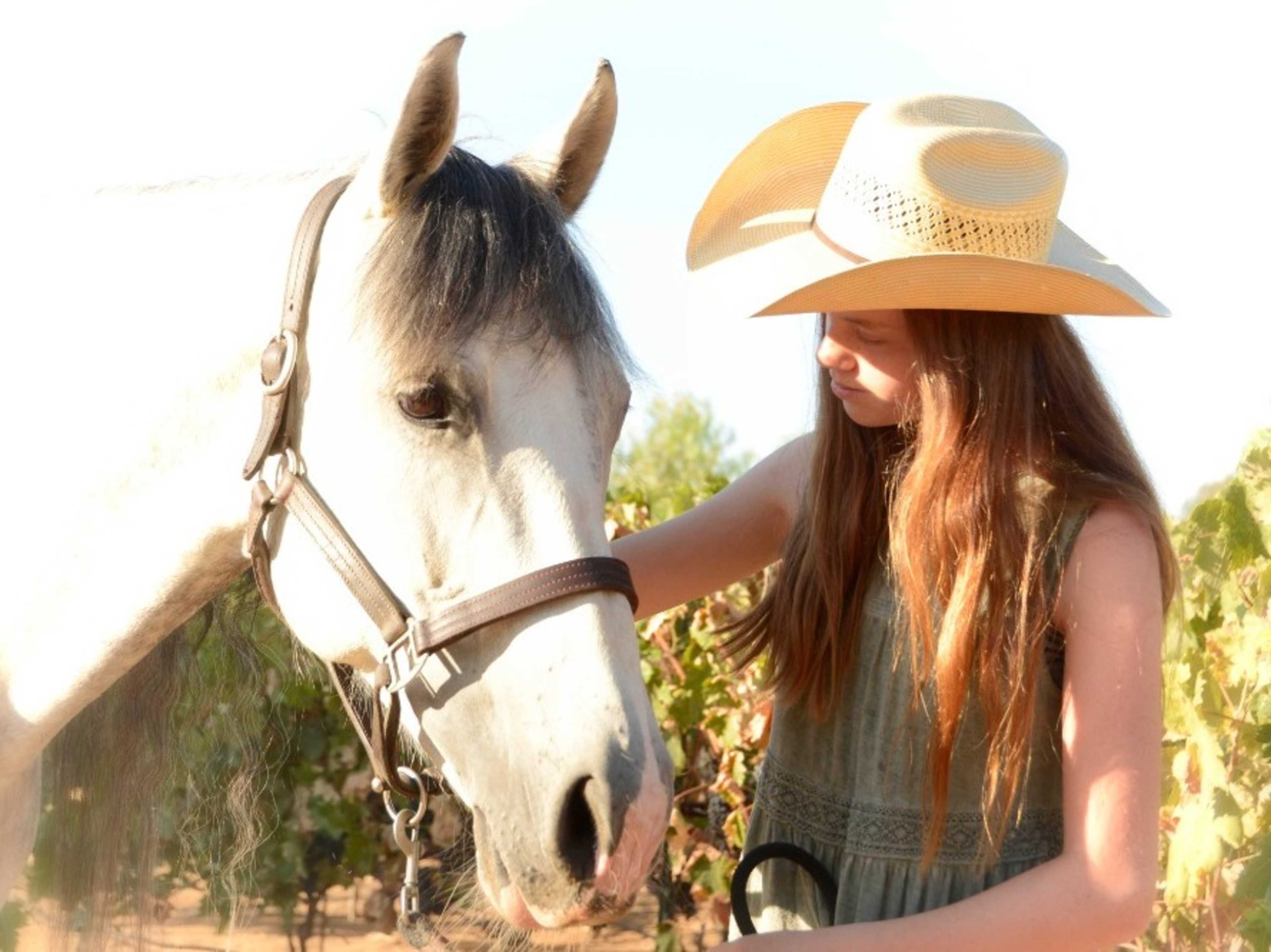 Animals available for photoshoots