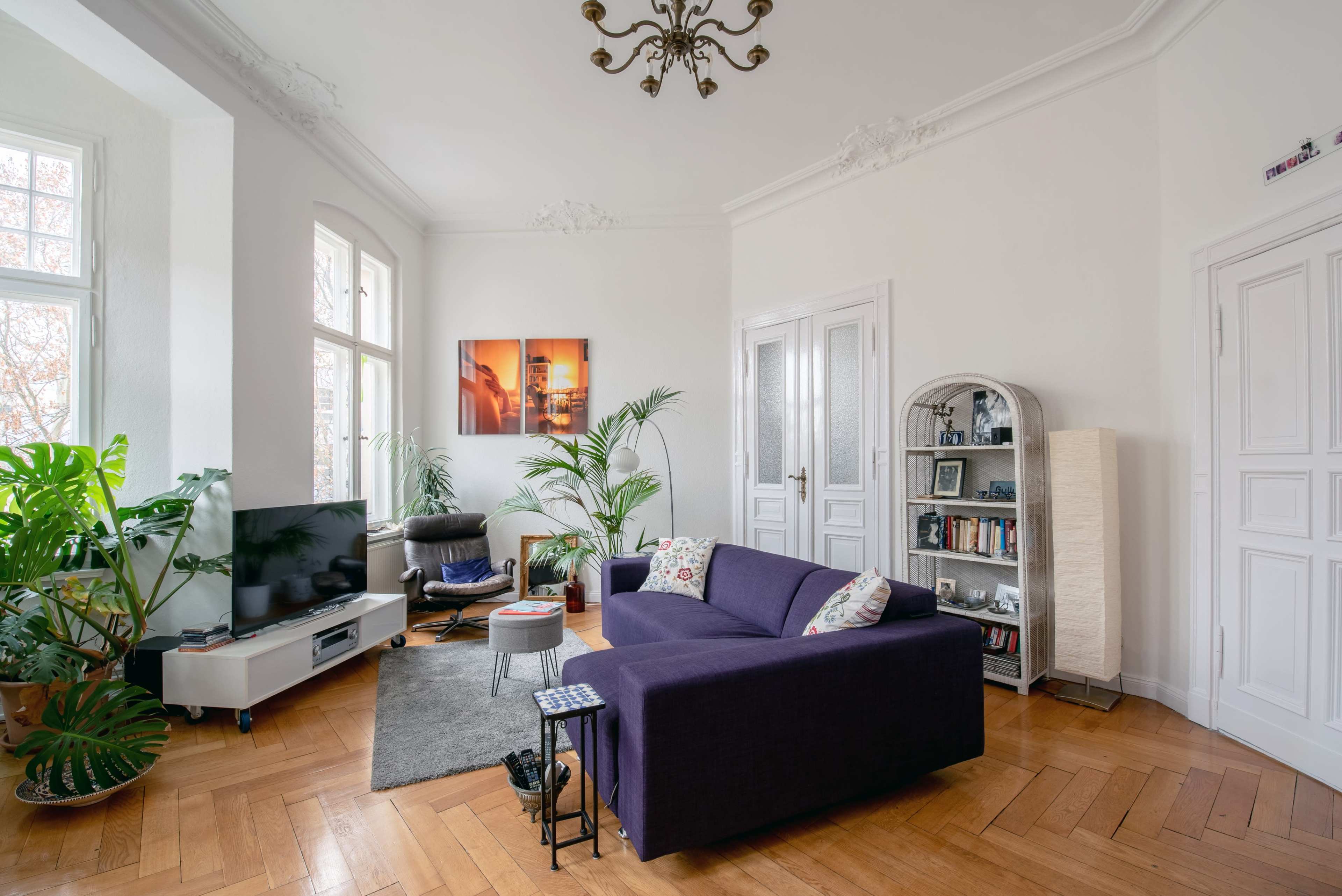 A modern living room features a purple sofa, a television on a white stand, and various indoor plants, with large windows allowing natural light.
