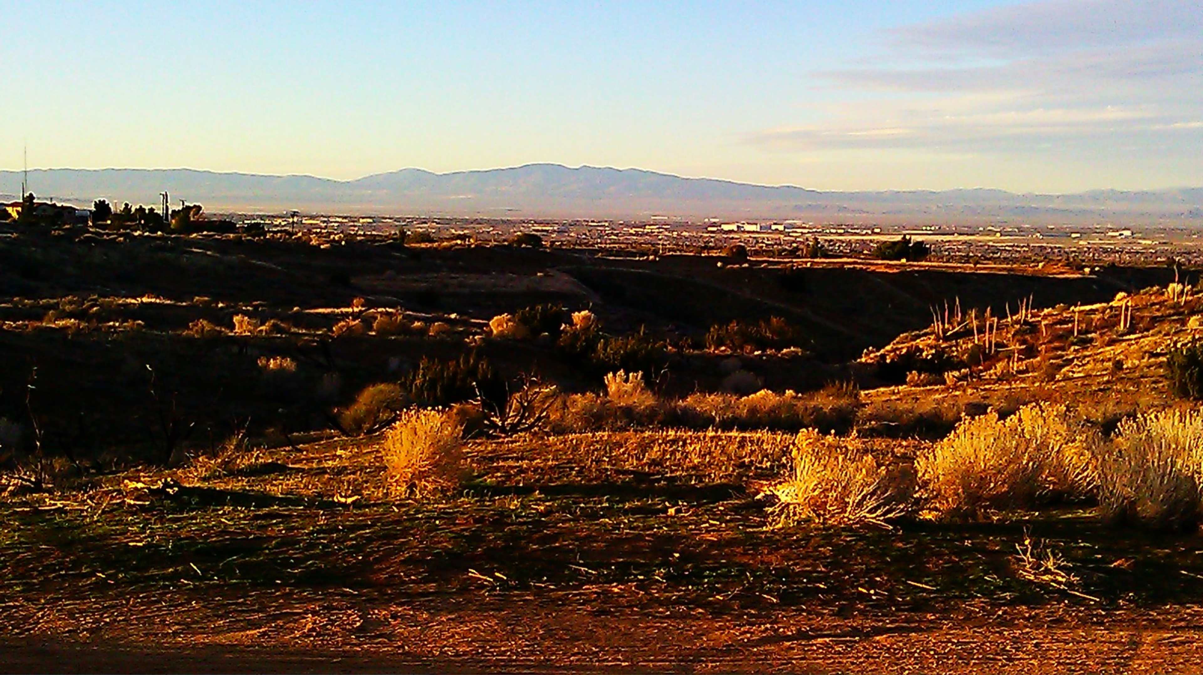 A rural landscape with rolling hills and distant mountains under a clear sky.