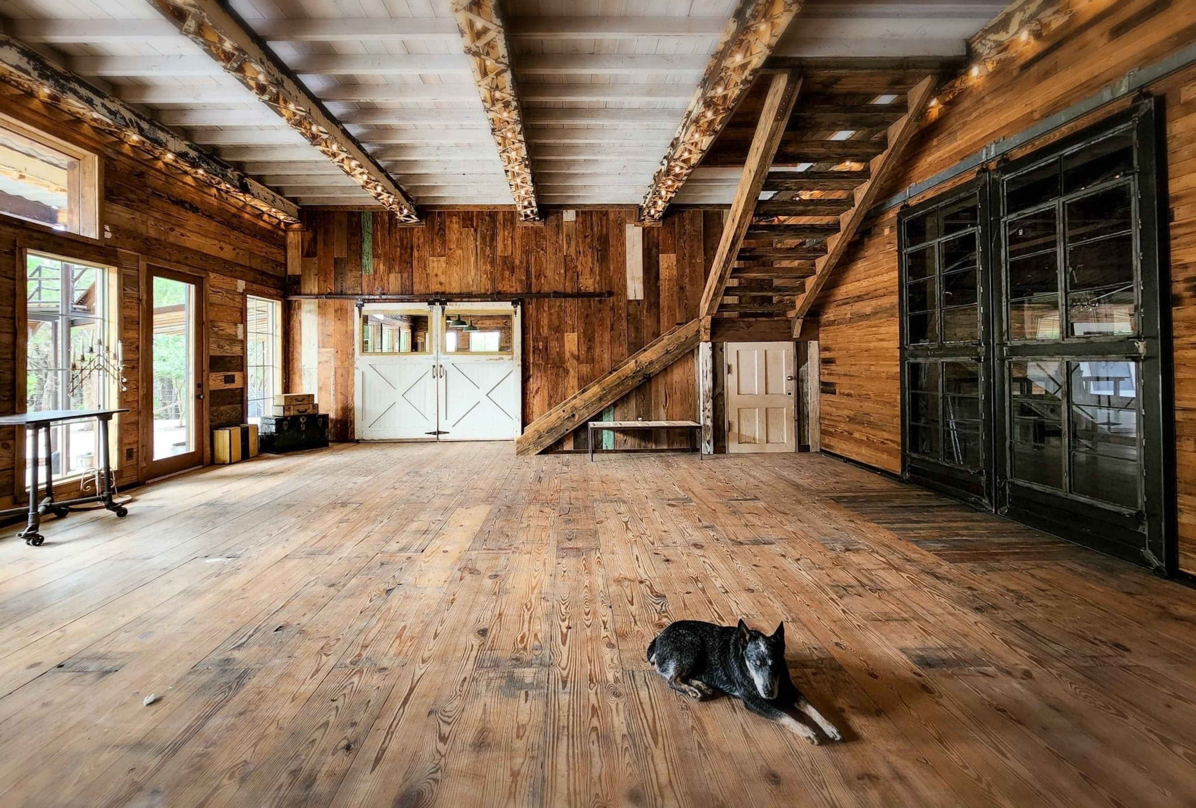 An empty wooden interior features a large open space with a staircase and a dog lying on the floor.