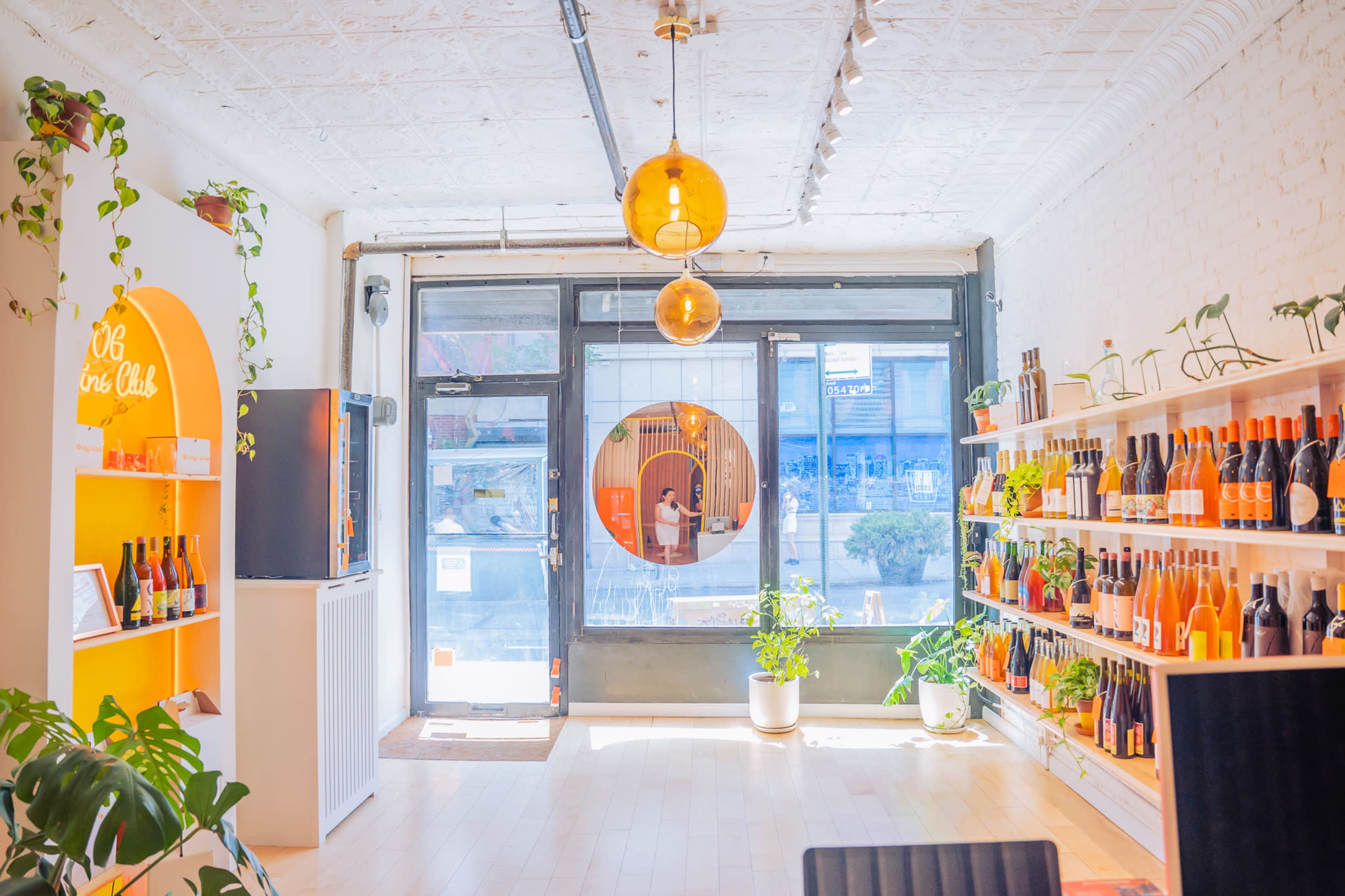 A bright, minimalist wine shop featuring shelves lined with bottles, large windows allowing natural light, and decorative plants.