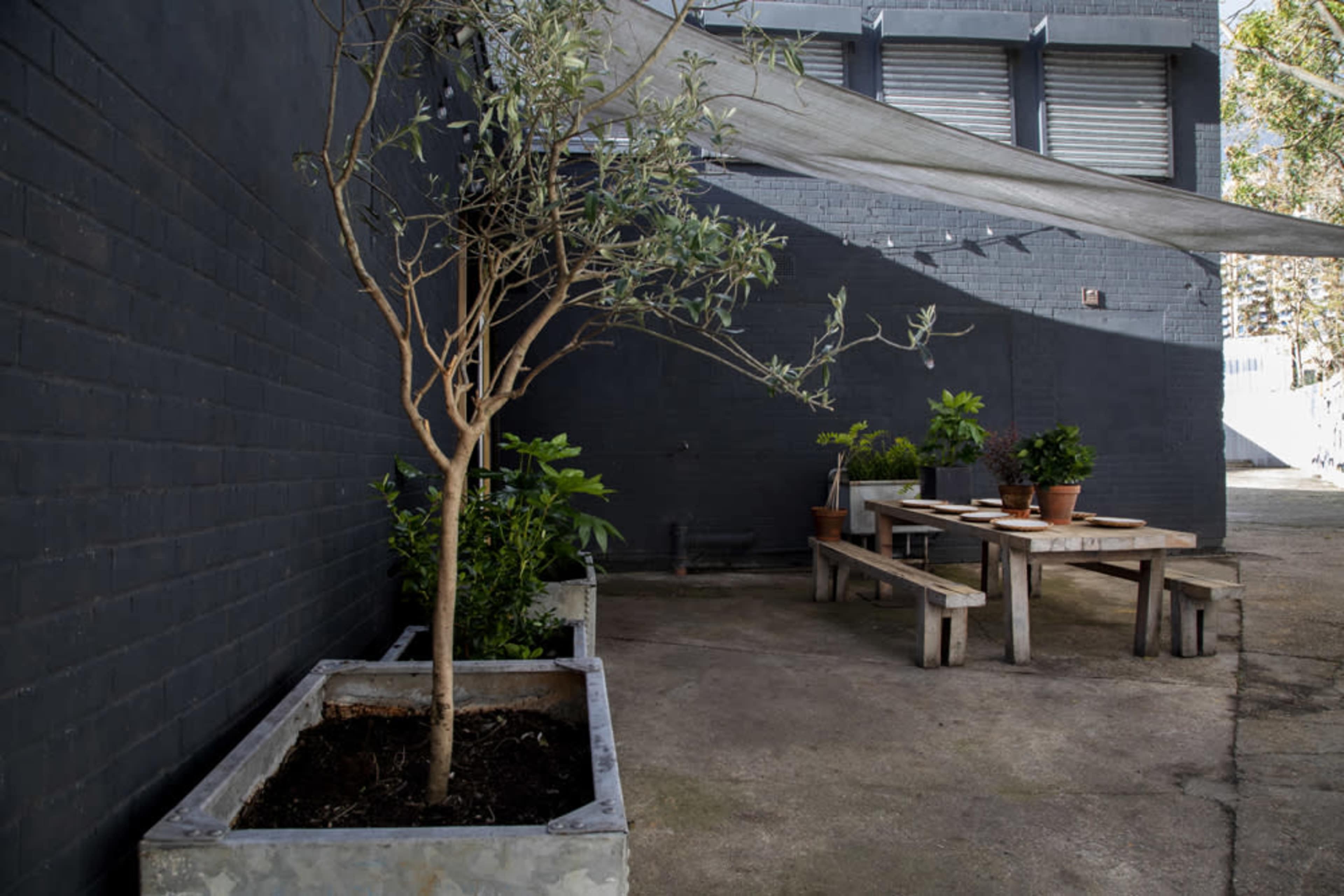 The image shows a small outdoor area with a wooden table and benches surrounded by potted plants and a tree, against a backdrop of a dark brick wall.