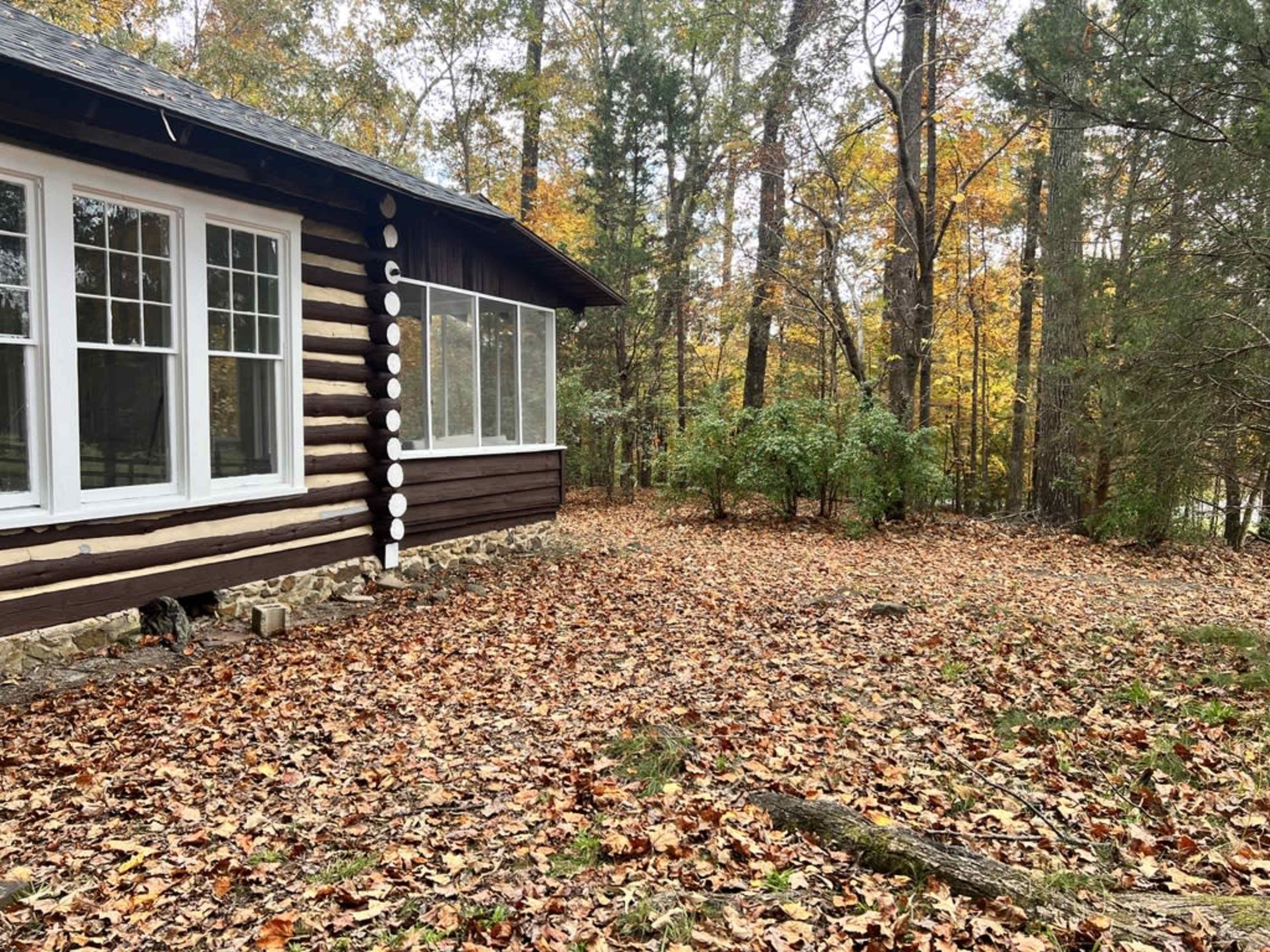 A log cabin with a large window is nestled among trees with autumn-colored leaves scattered on the ground.