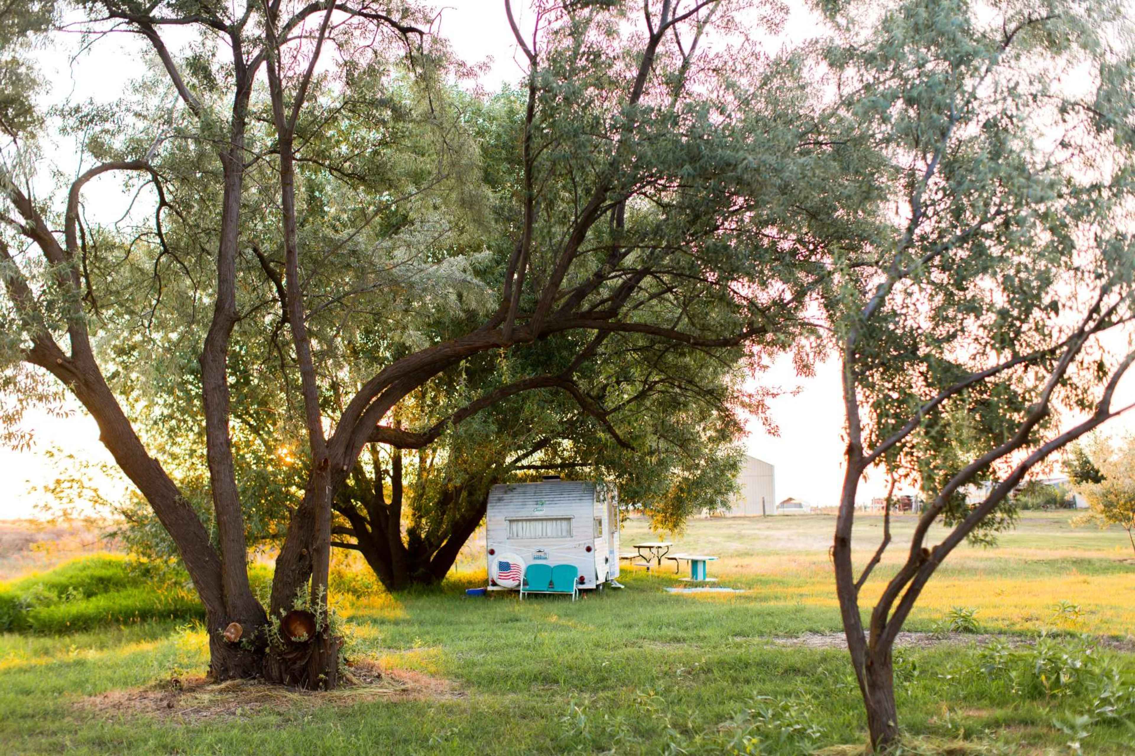 A vintage trailer is parked under large trees in a grassy area, with a picnic table visible nearby.