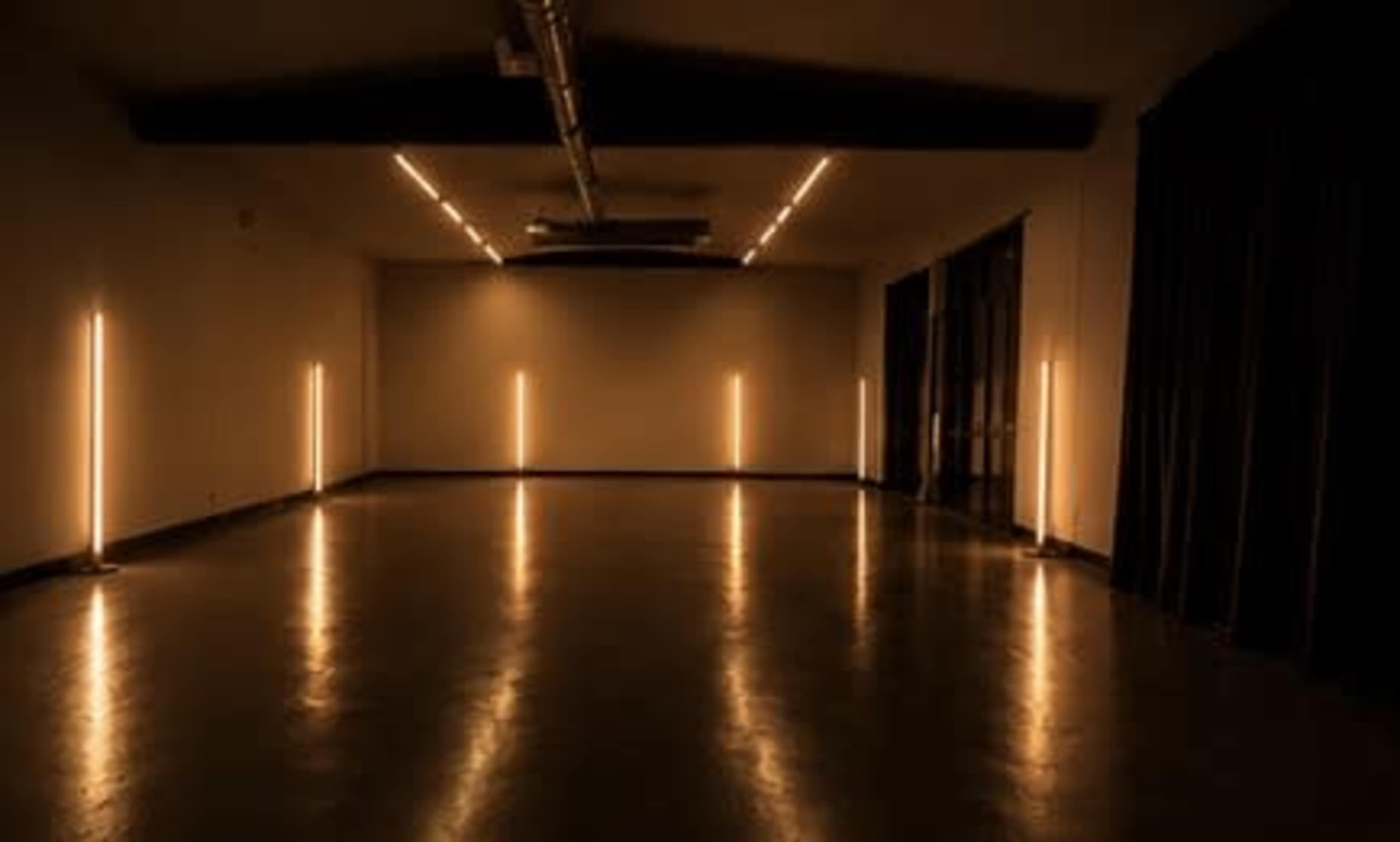 The image shows a spacious, dimly-lit room with linear light fixtures along the walls and a polished floor.