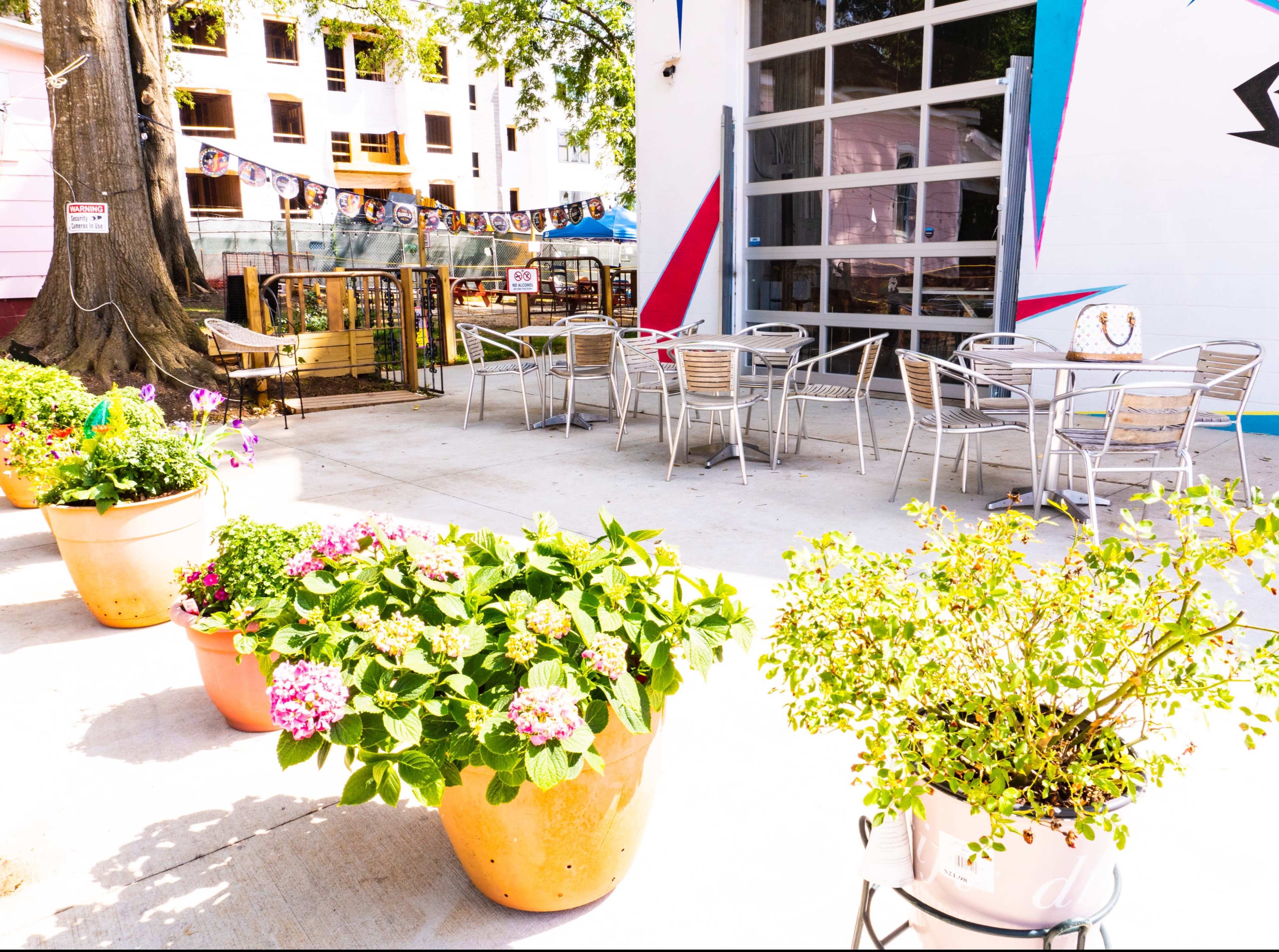The scene features a patio area with metal tables and chairs, surrounded by flower-filled pots and a backdrop of colorful decorations.