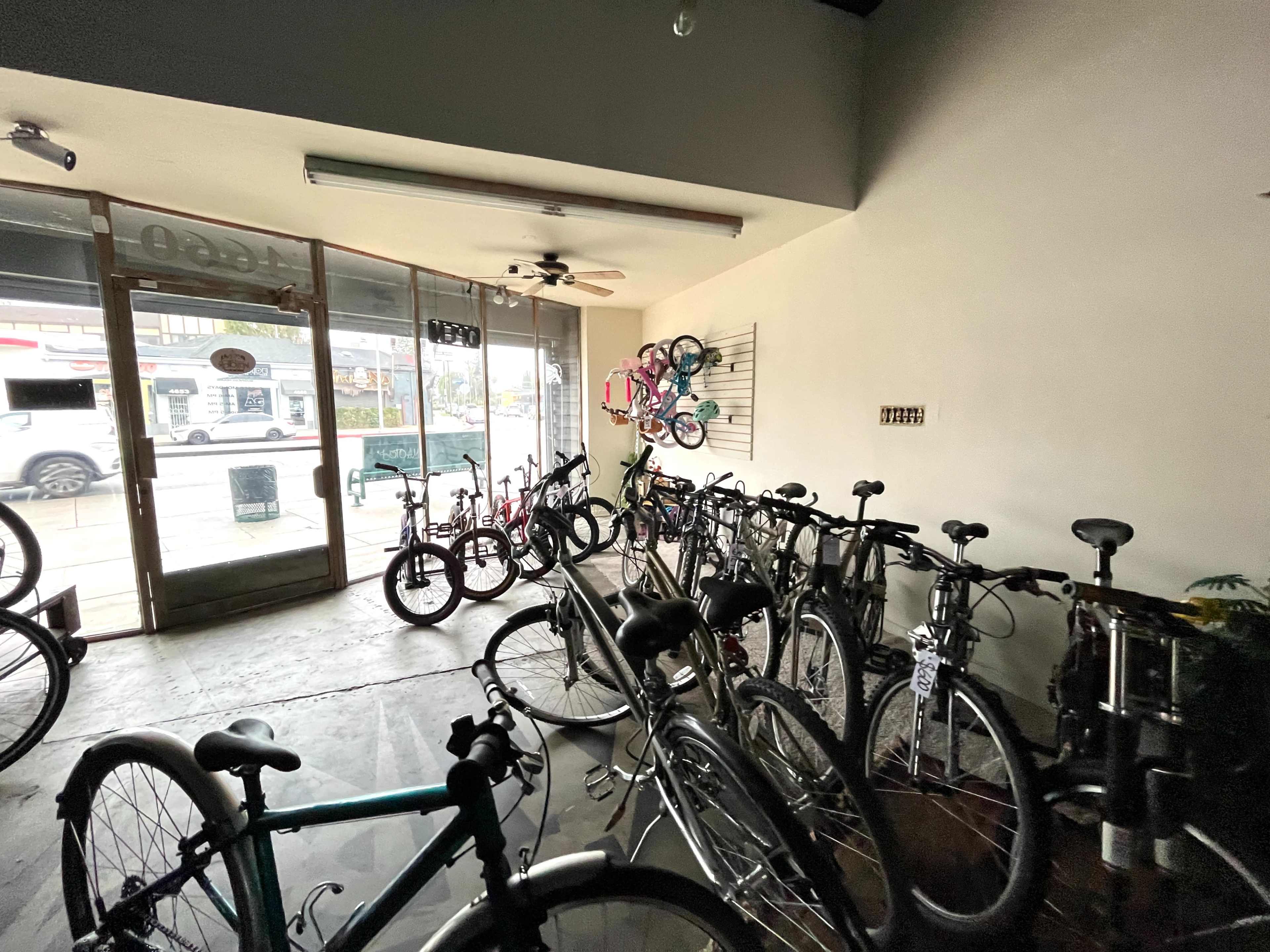 The interior of a bicycle shop is filled with various bicycles arranged along the walls and floor, with a large glass door leading to the street outside.