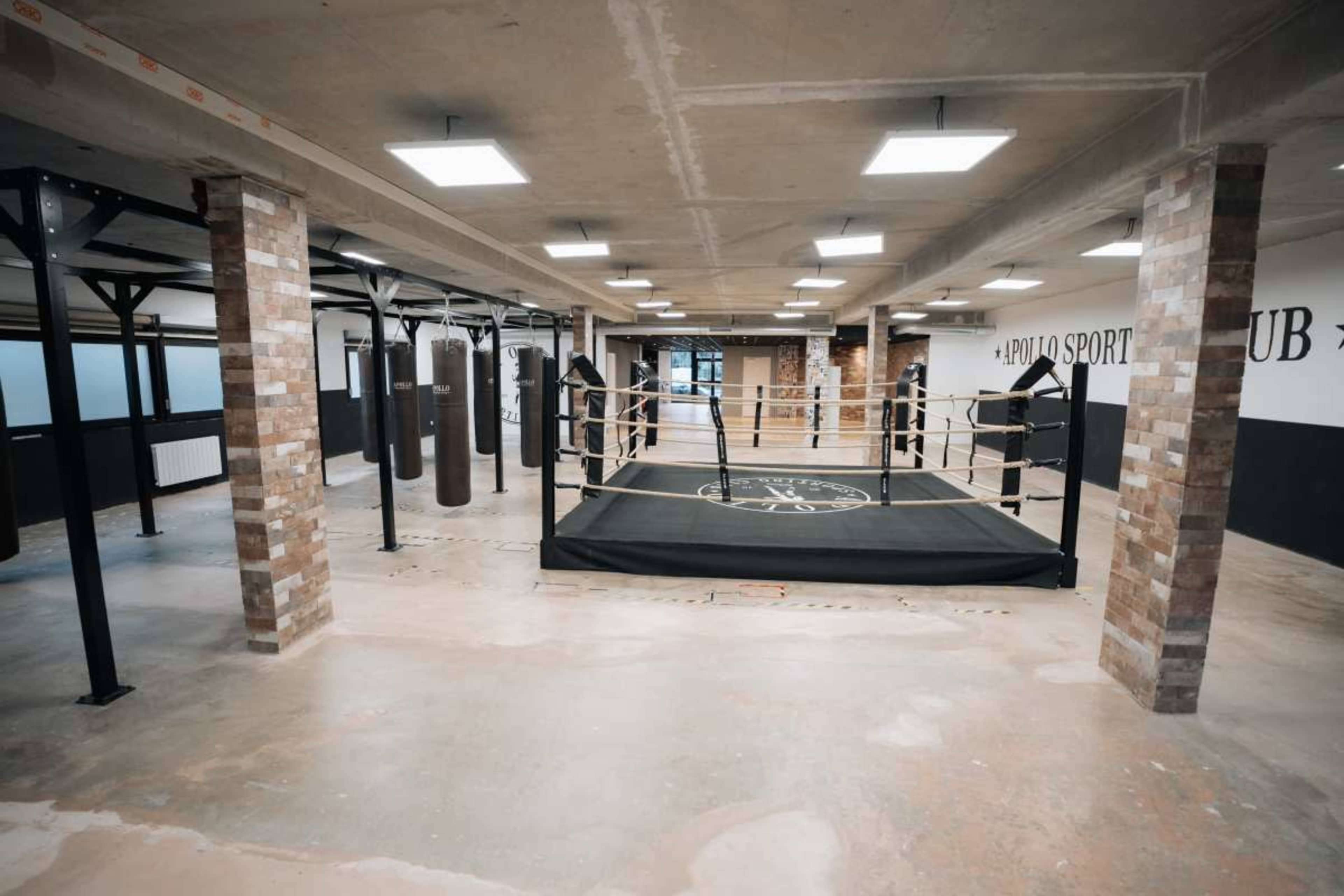 The image shows an indoor boxing gym with a central ring, several hanging punching bags, and exposed brick walls.