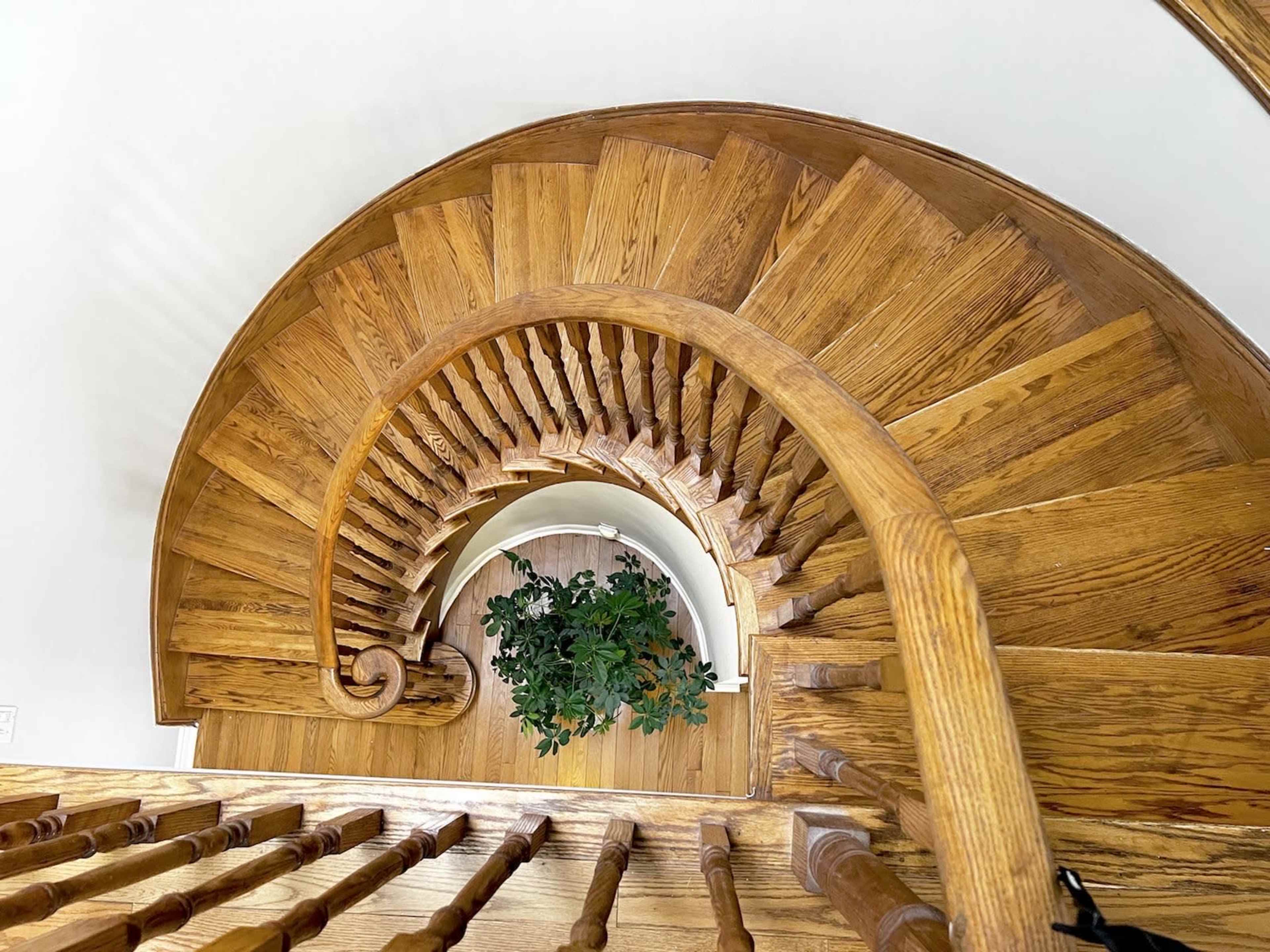 A spiral wooden staircase viewed from above, with a potted plant at the bottom.