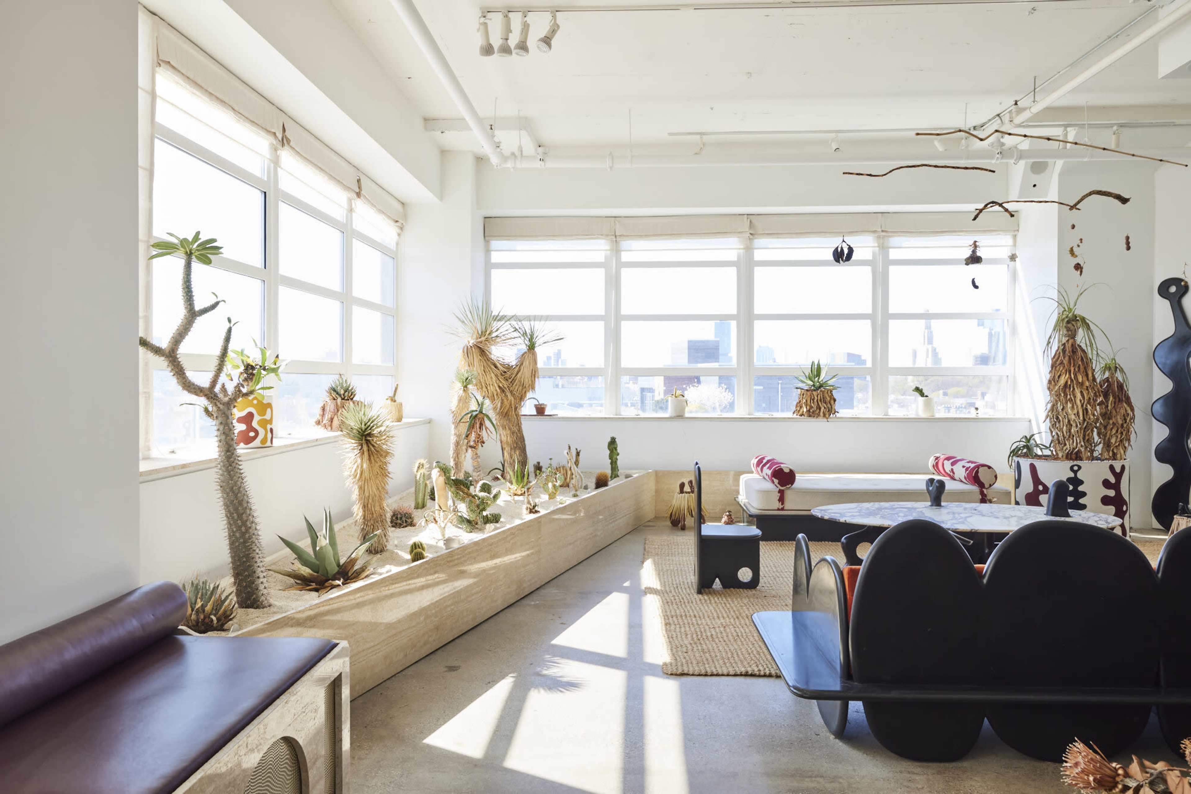 The image shows a spacious, brightly lit room filled with various indoor plants and contemporary furniture, featuring large windows that offer a view of a city skyline.