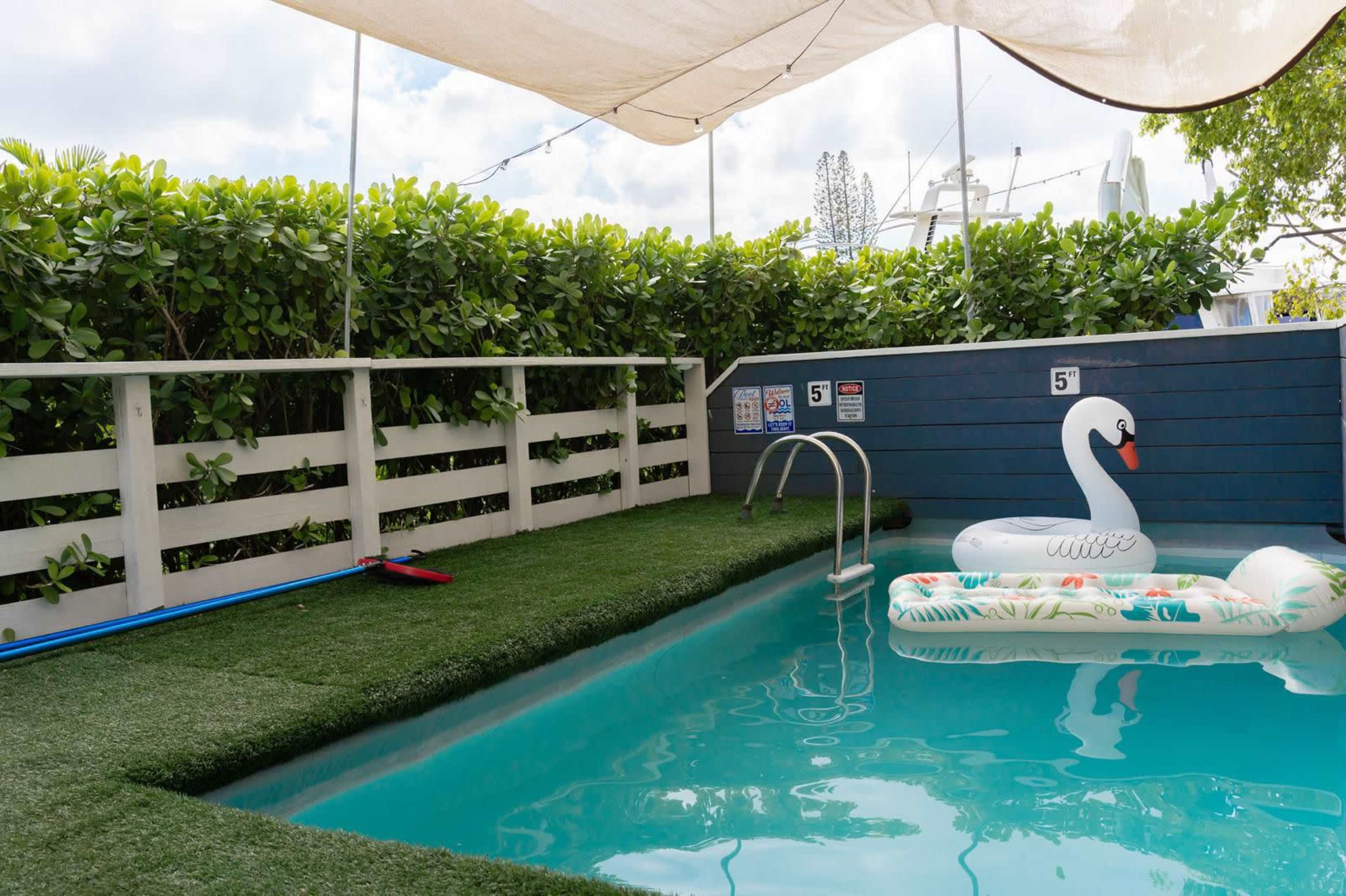 The image shows a swimming pool bordered by artificial grass, featuring a floating swan-shaped raft and a ladder on one side, with greenery in the background.