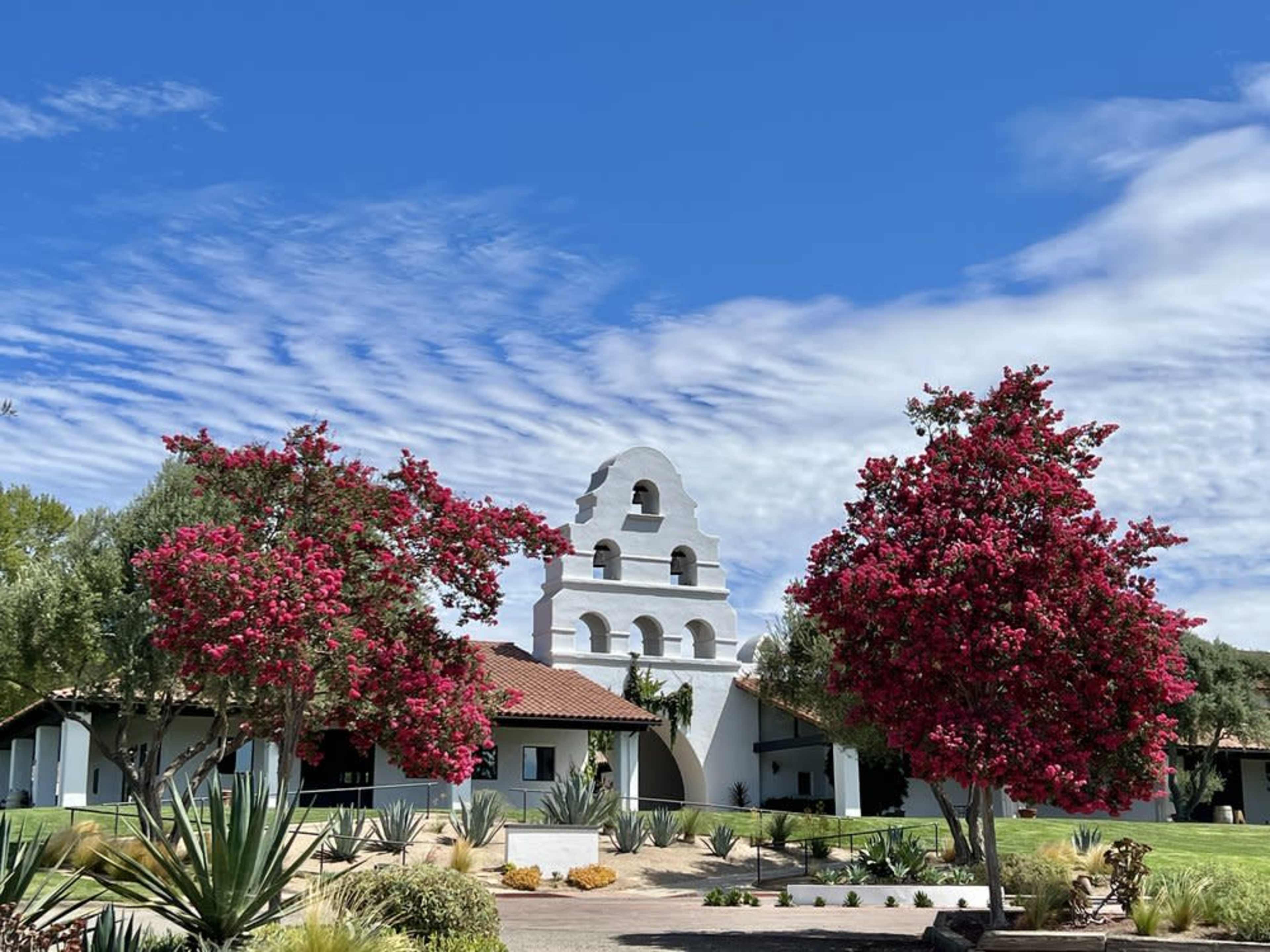 A white building with an arched top stands behind vibrant pink flowering trees under a blue sky with wispy clouds.