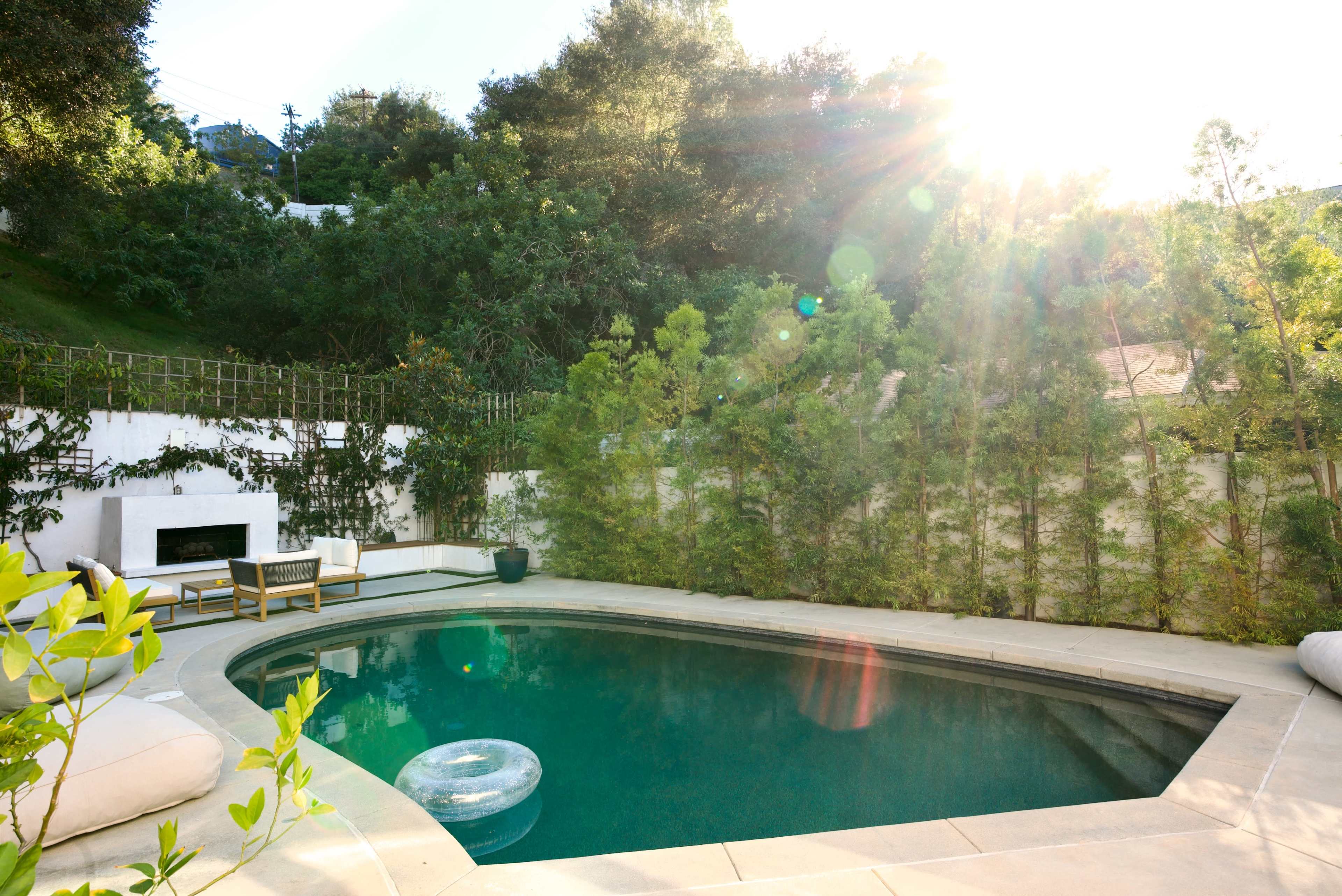 A modern swimming pool is surrounded by lush greenery and features a sunlit setting with a clear blue sky.