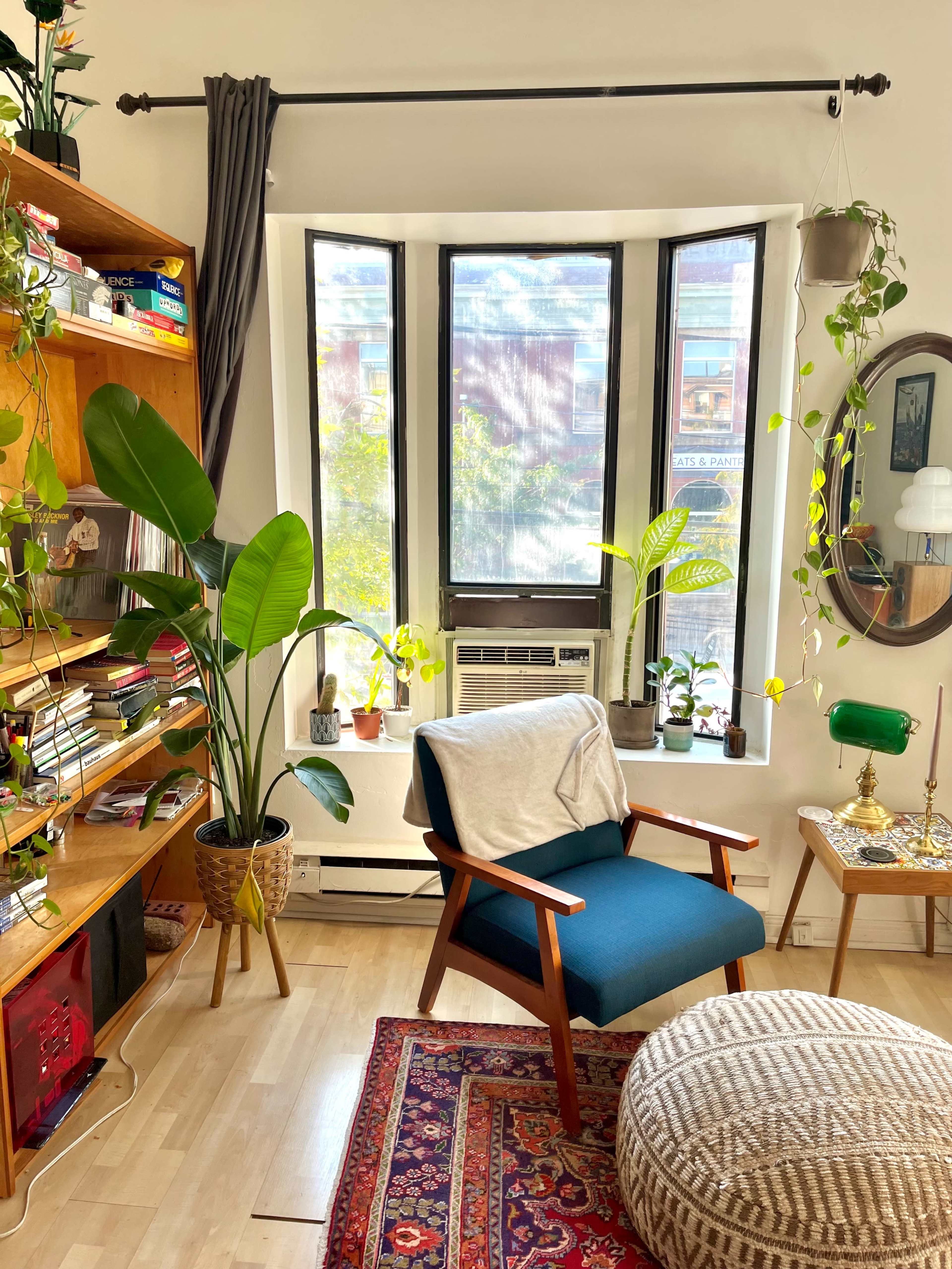 A cozy living space features a blue chair next to a bookshelf filled with books, surrounded by indoor plants and a window letting in natural light.