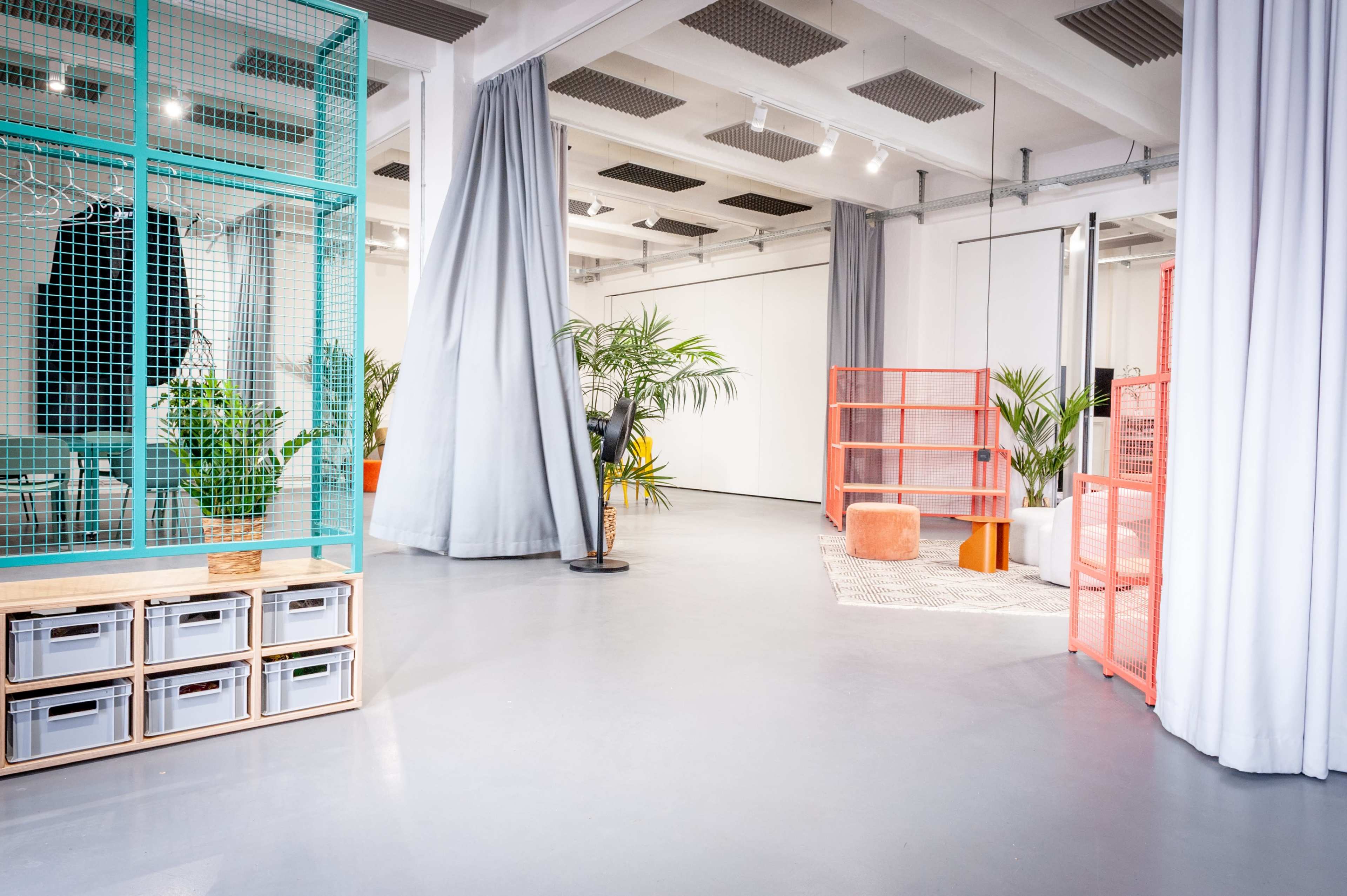 A modern interior space with grey flooring, a green metal shelving unit, curtains, and several plants arranged around the area.