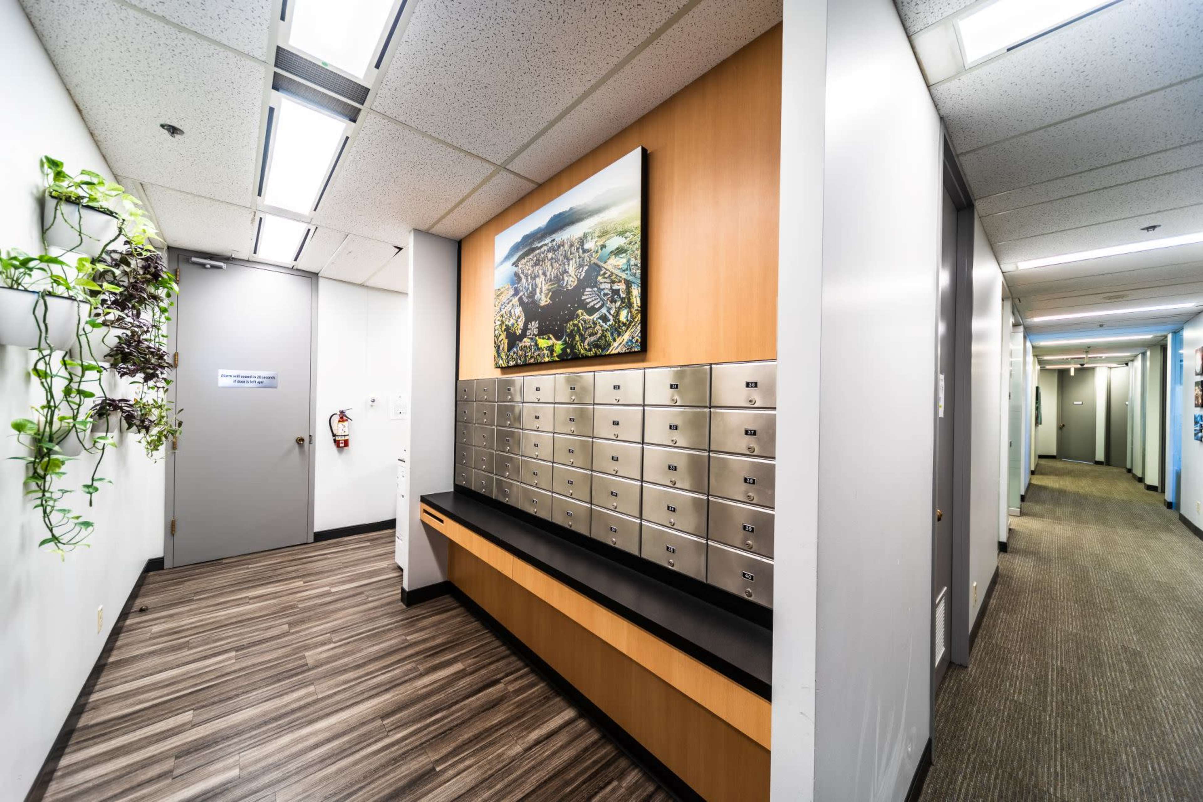 A hallway with mailboxes mounted on the wall, a large framed picture, and a plant feature on one side.