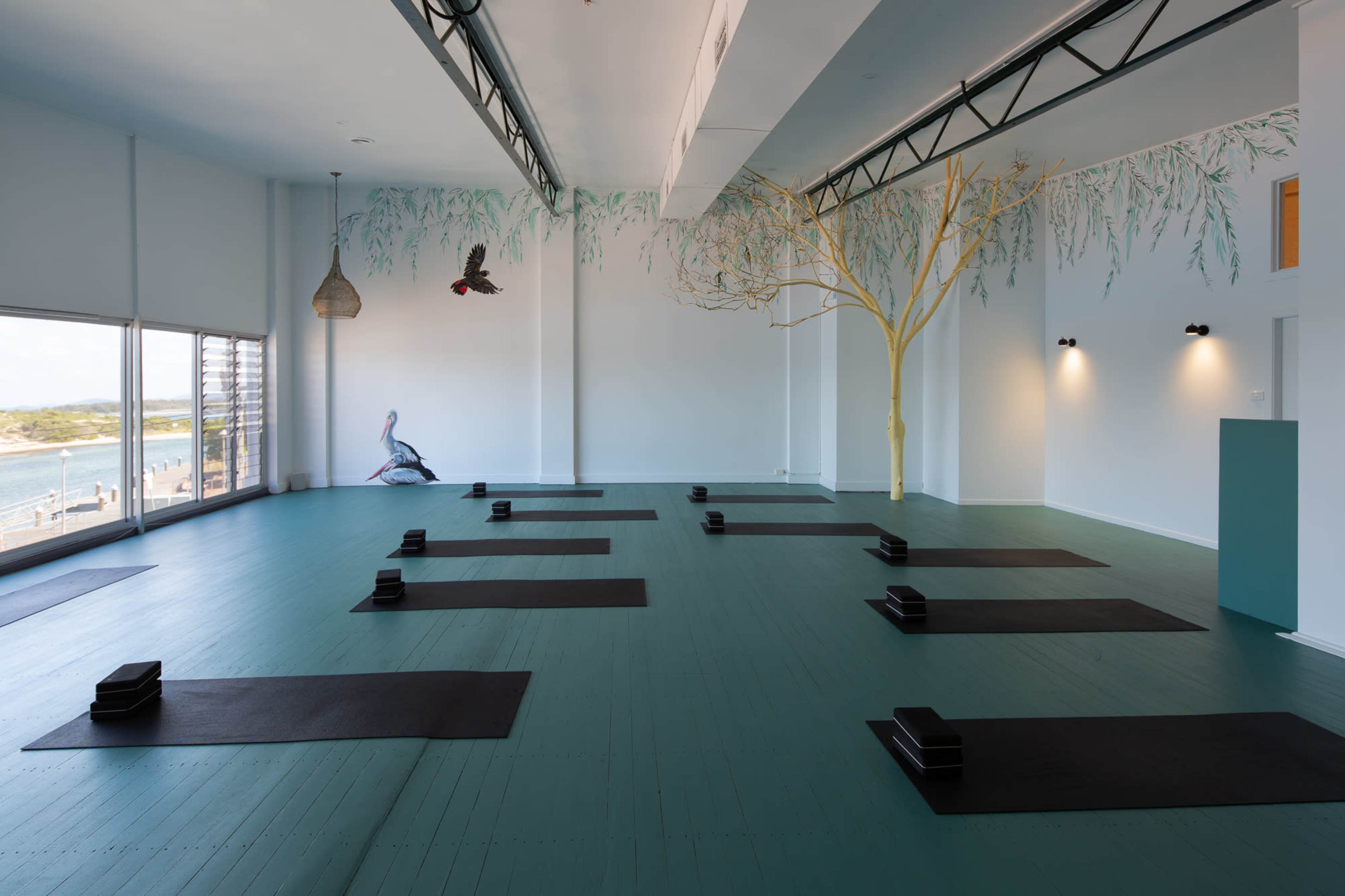 A spacious yoga studio with black mats arranged in rows on a teal wooden floor, large windows providing a view of the outdoors, and a mural of trees and birds on the walls.
