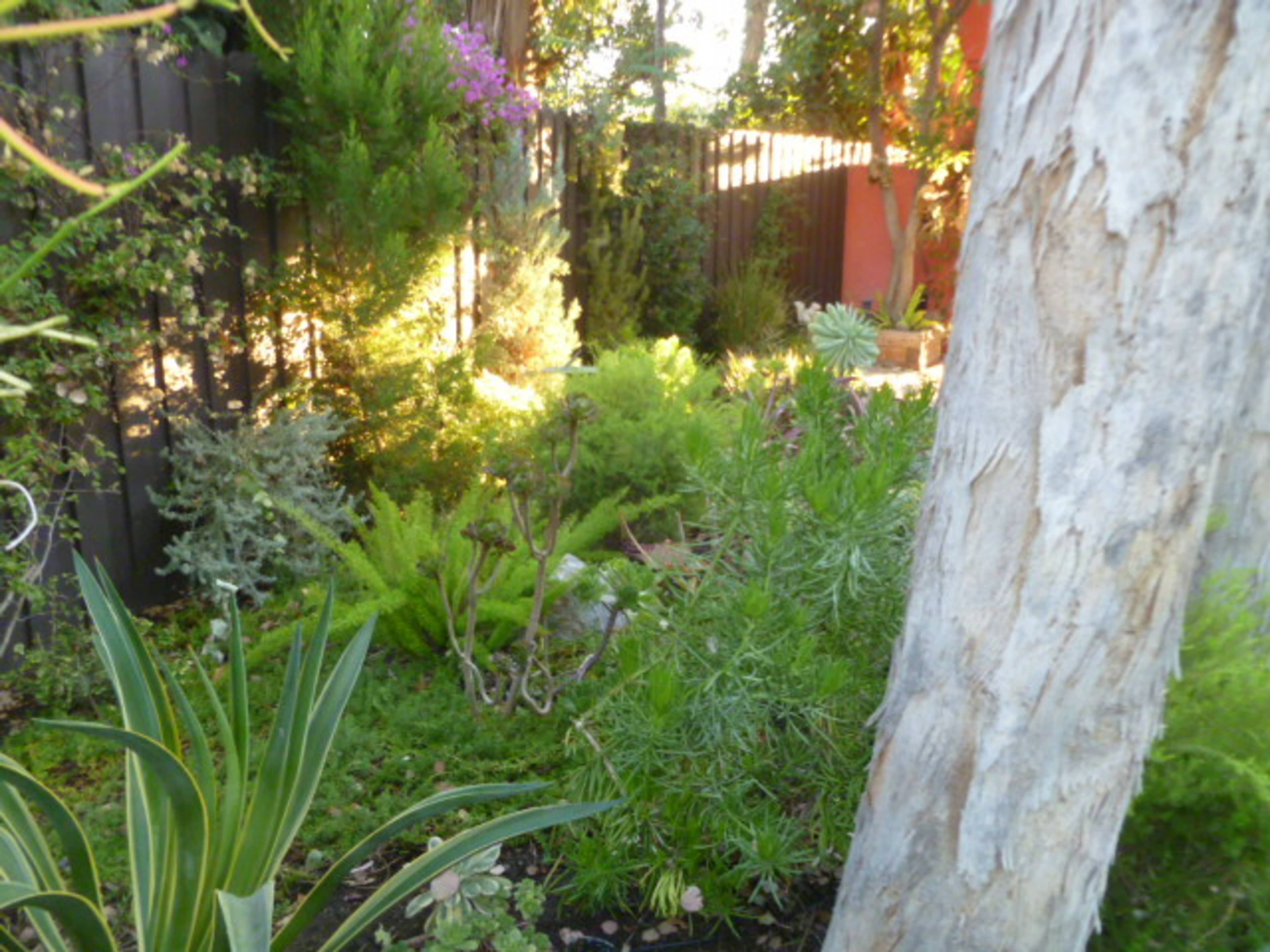 A lush garden with various plants and greenery, bordered by a wooden fence and a tree trunk.