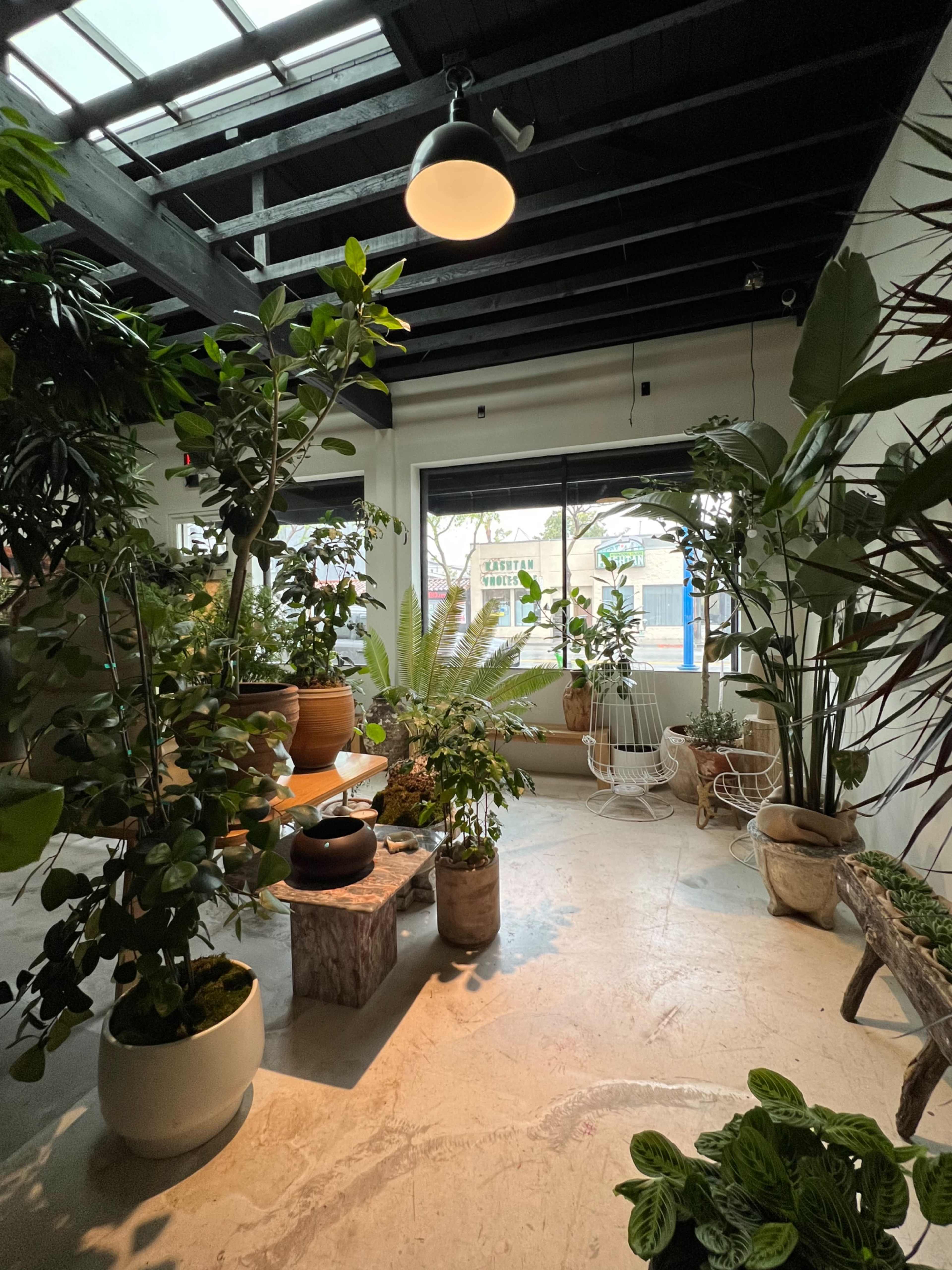 A bright indoor space filled with various potted plants and decorative elements, featuring large windows that provide natural light.