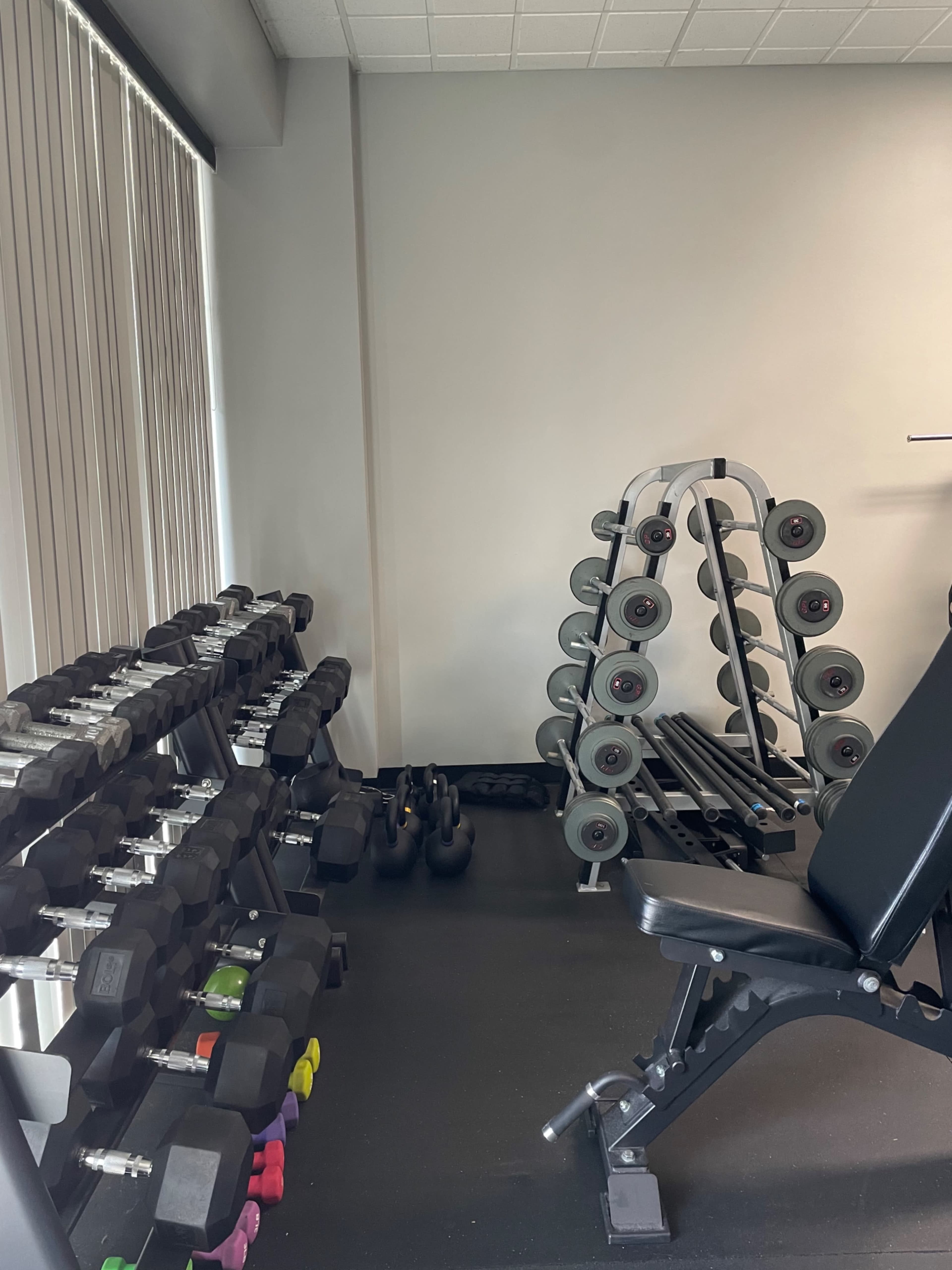 A well-equipped gym area with a rack of dumbbells, a weight bench, and a set of weight plates organized on a stand.