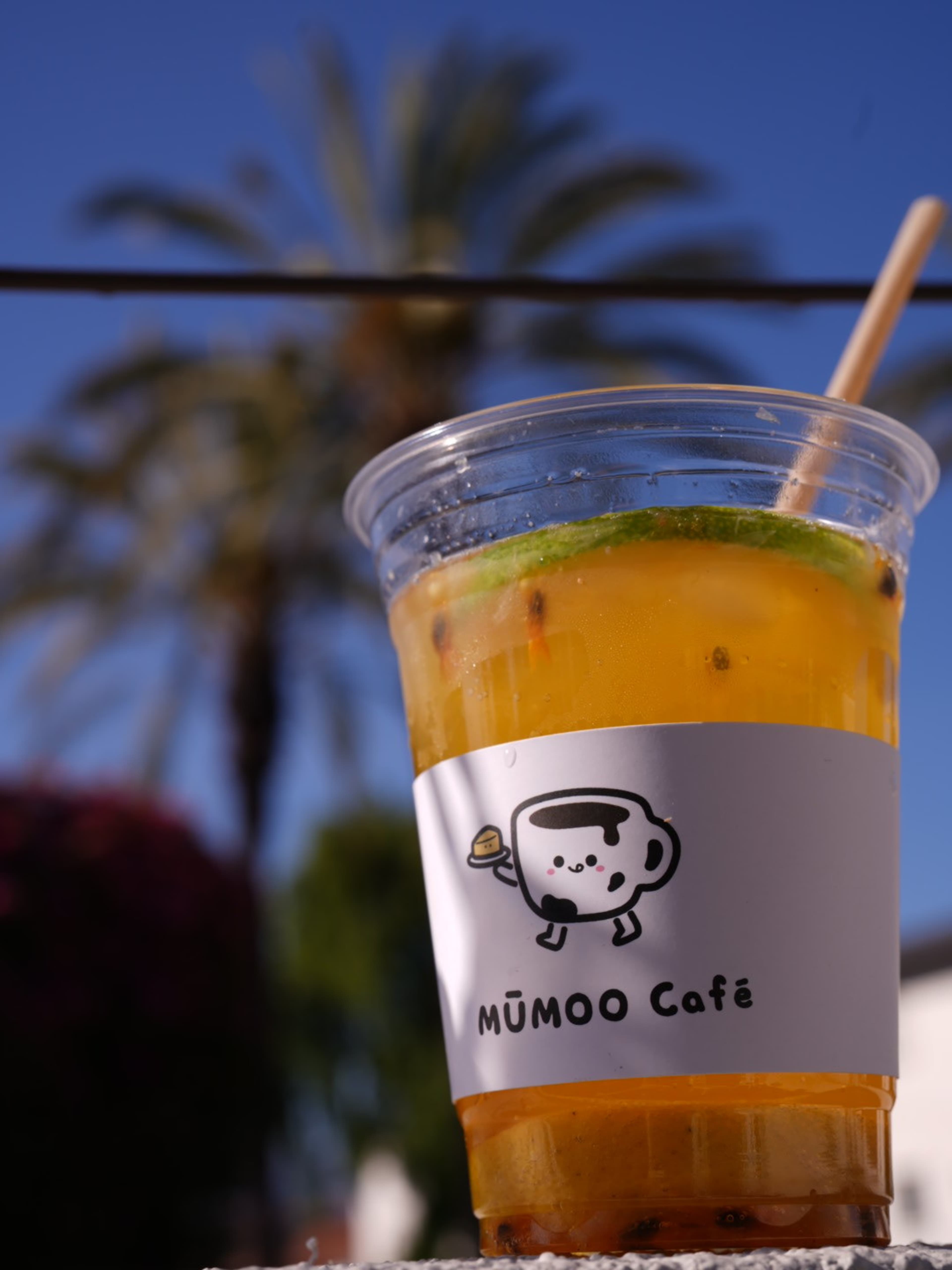 A clear plastic cup filled with a yellow beverage and garnished with a slice of lime stands in front of palm trees against a blue sky.