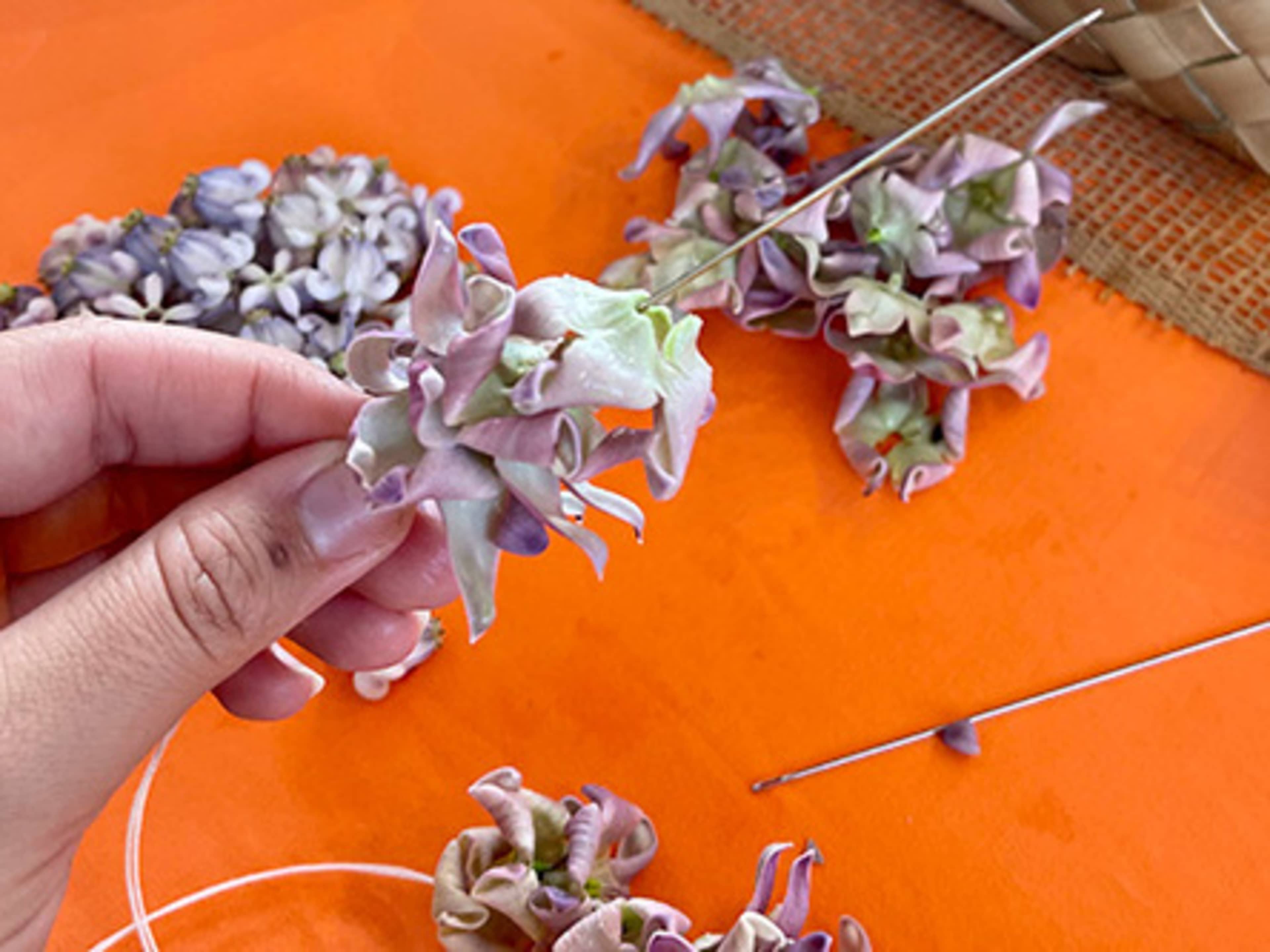 Hawaiian Cultural Lessons - Lei Making, Hula, etc.