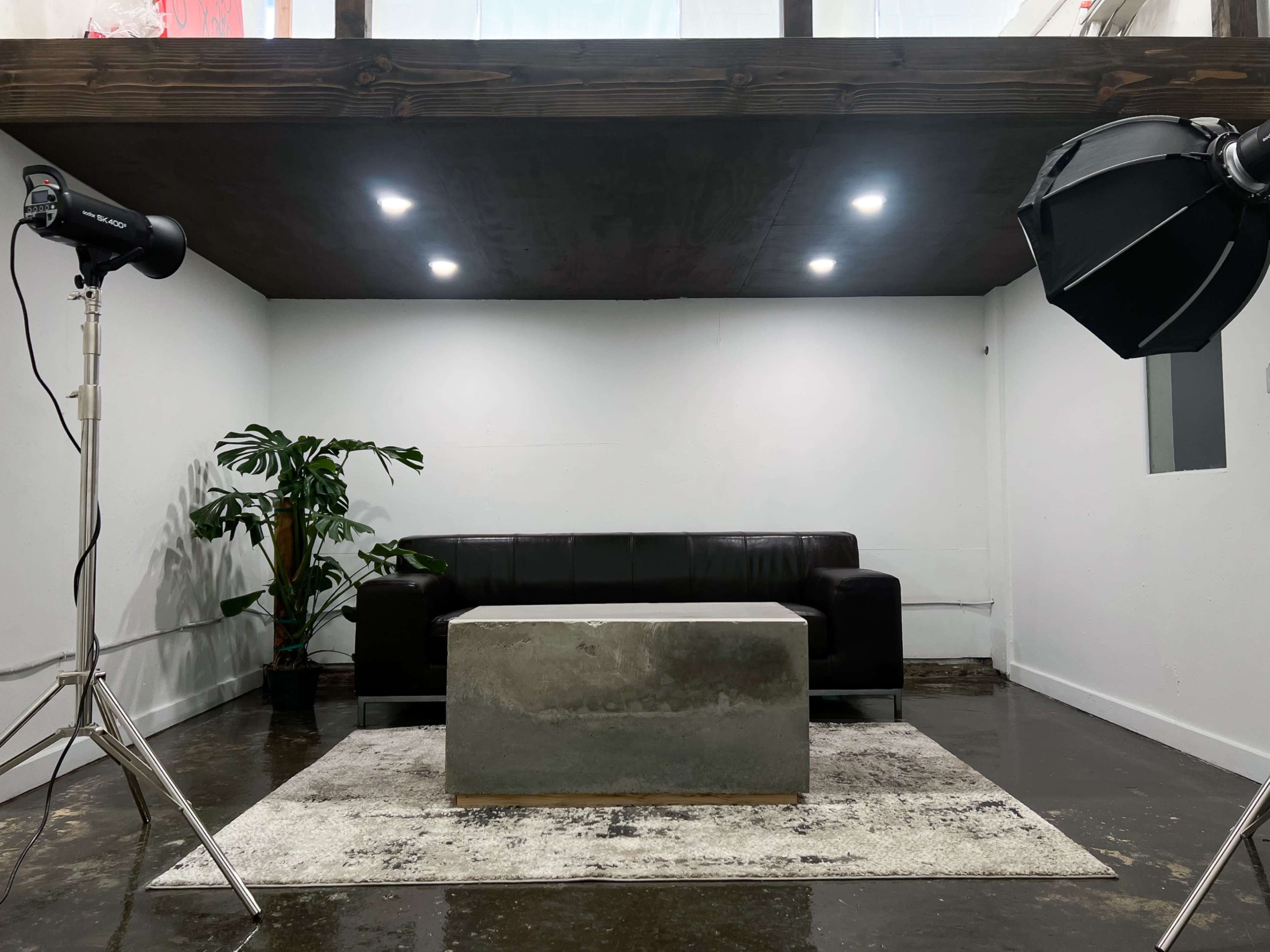 A minimalistic interior with a leather sofa, a concrete coffee table, a potted plant, and lighting equipment positioned on either side.