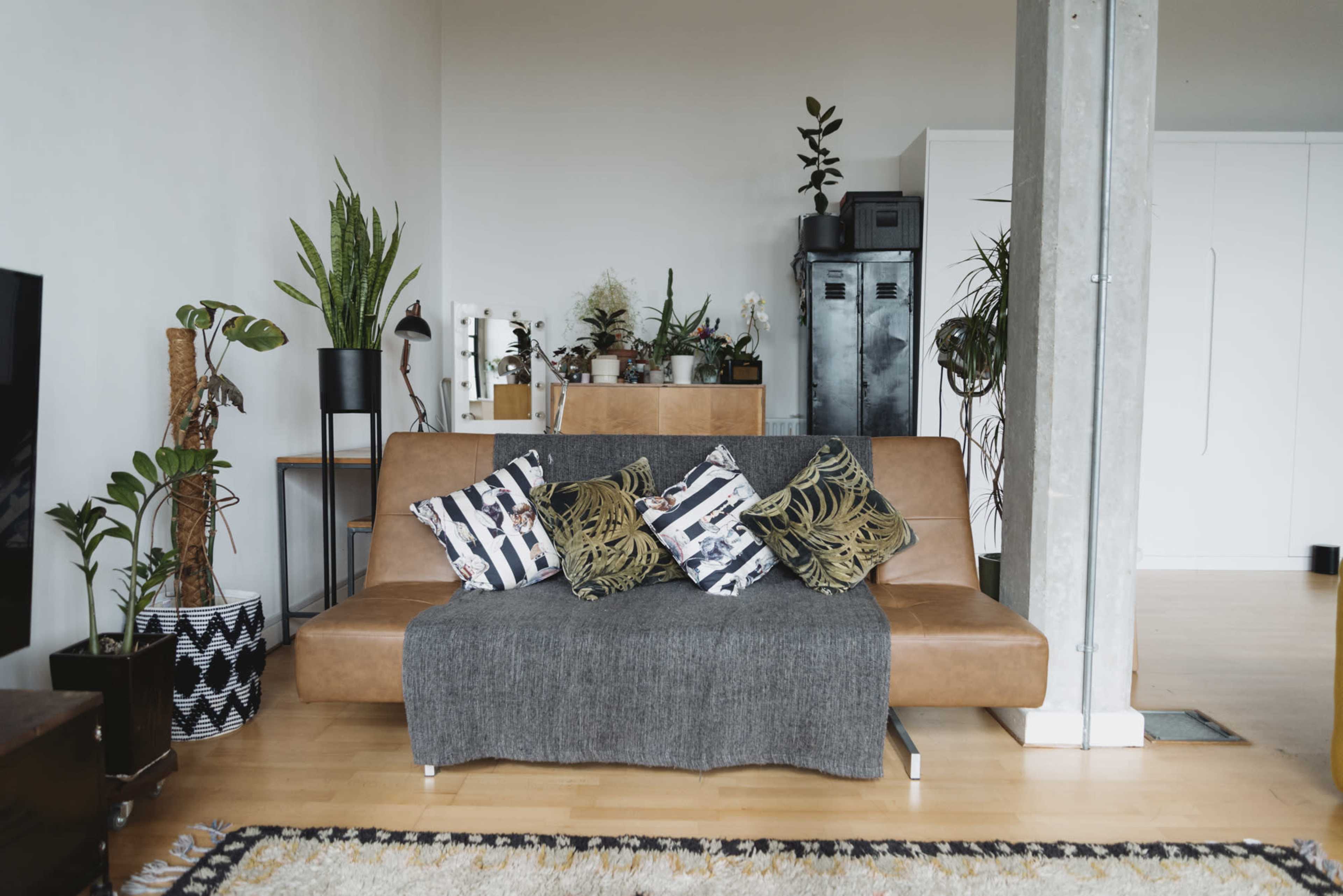 A brown sofa is adorned with patterned cushions and a gray throw, surrounded by various indoor plants in a modern living space.