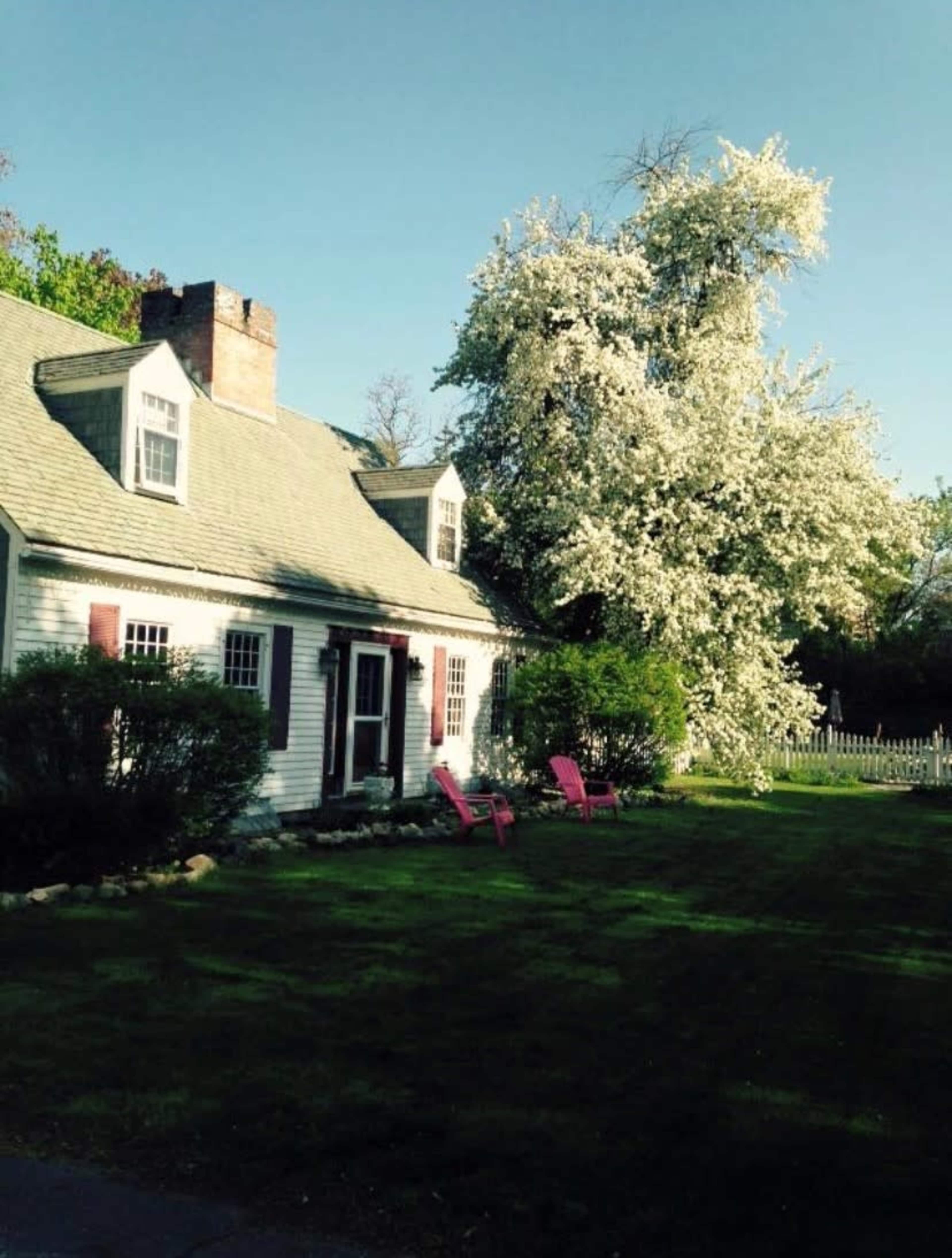 A white house with a sloped roof is surrounded by a lawn, featuring two pink chairs and a large tree with white blossoms in the background.