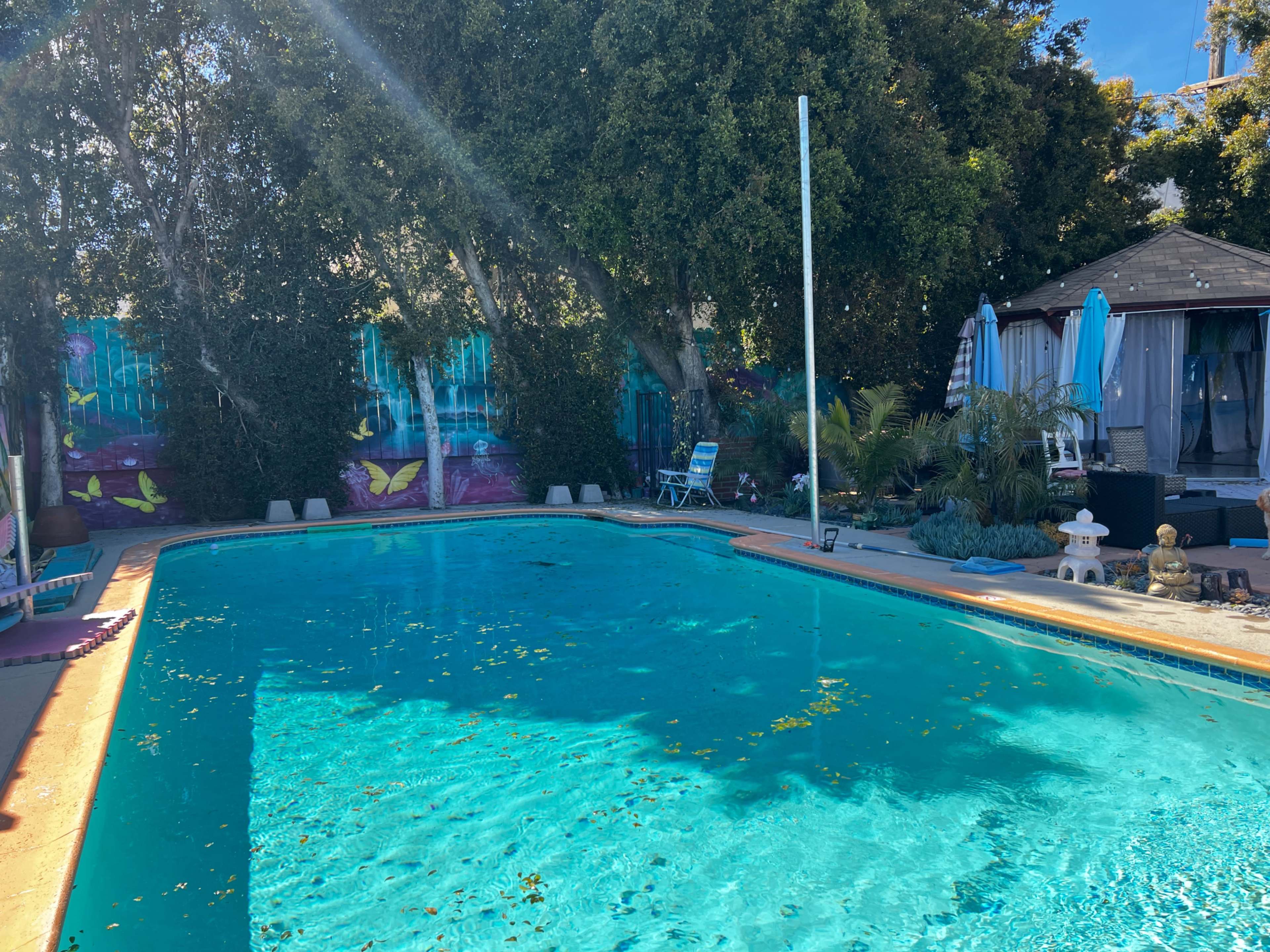 A swimming pool surrounded by greenery and lounge chairs, with a mural featuring butterflies in the background.