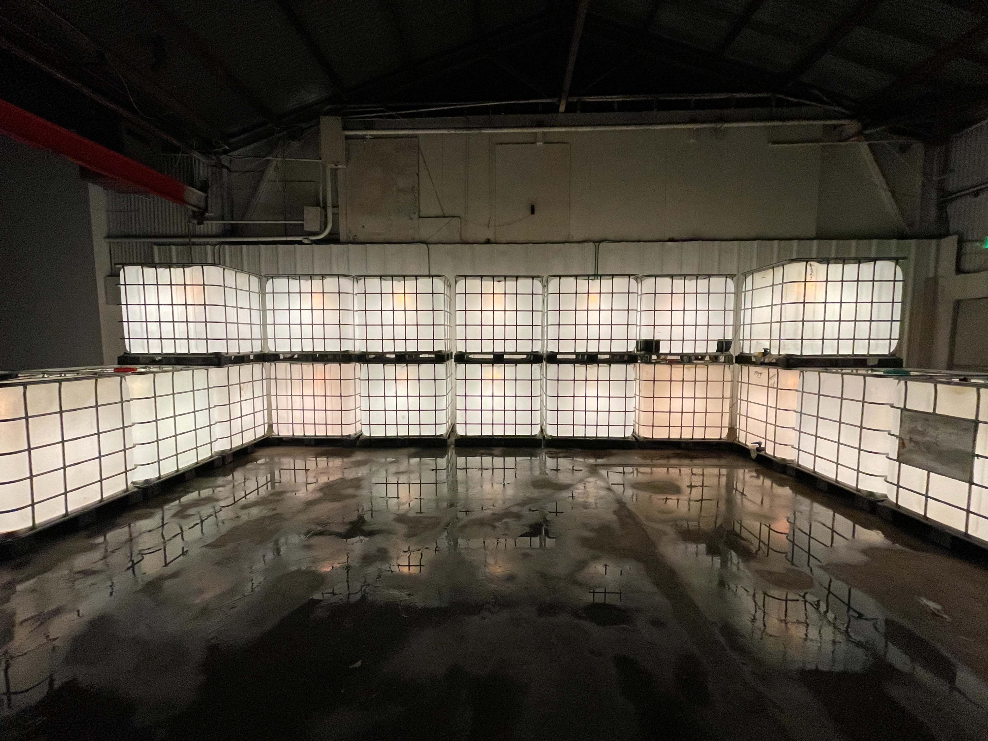 The image shows a large indoor space with illuminated rectangular containers arranged in a U-shape on a wet floor.