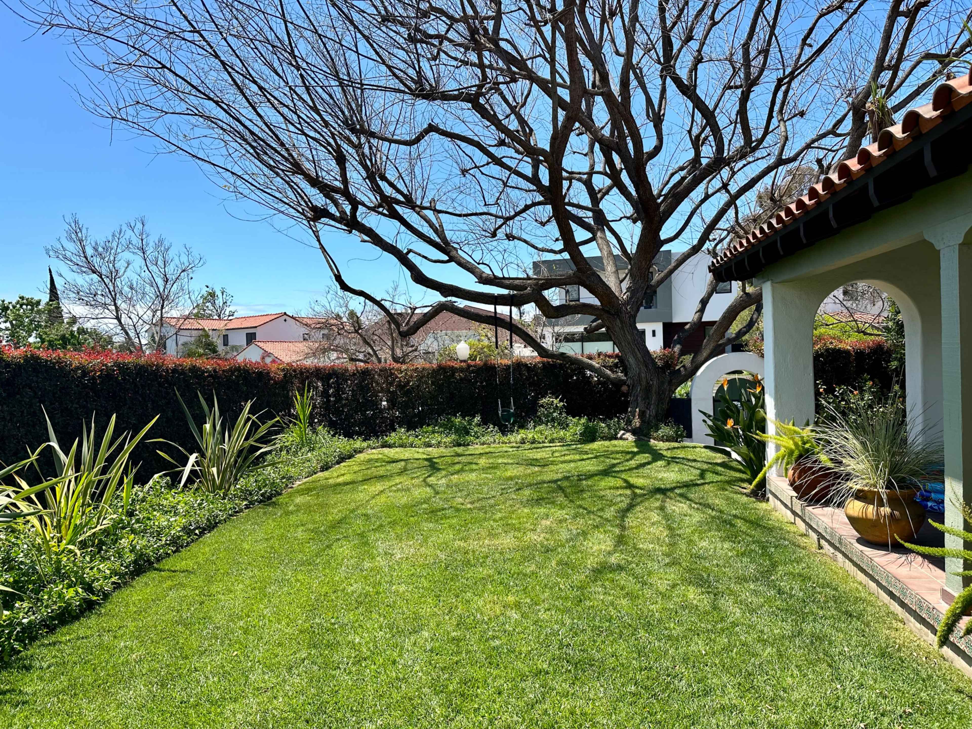 A well-maintained lawn with a large tree and a house on one side, surrounded by trimmed hedges and garden plants.