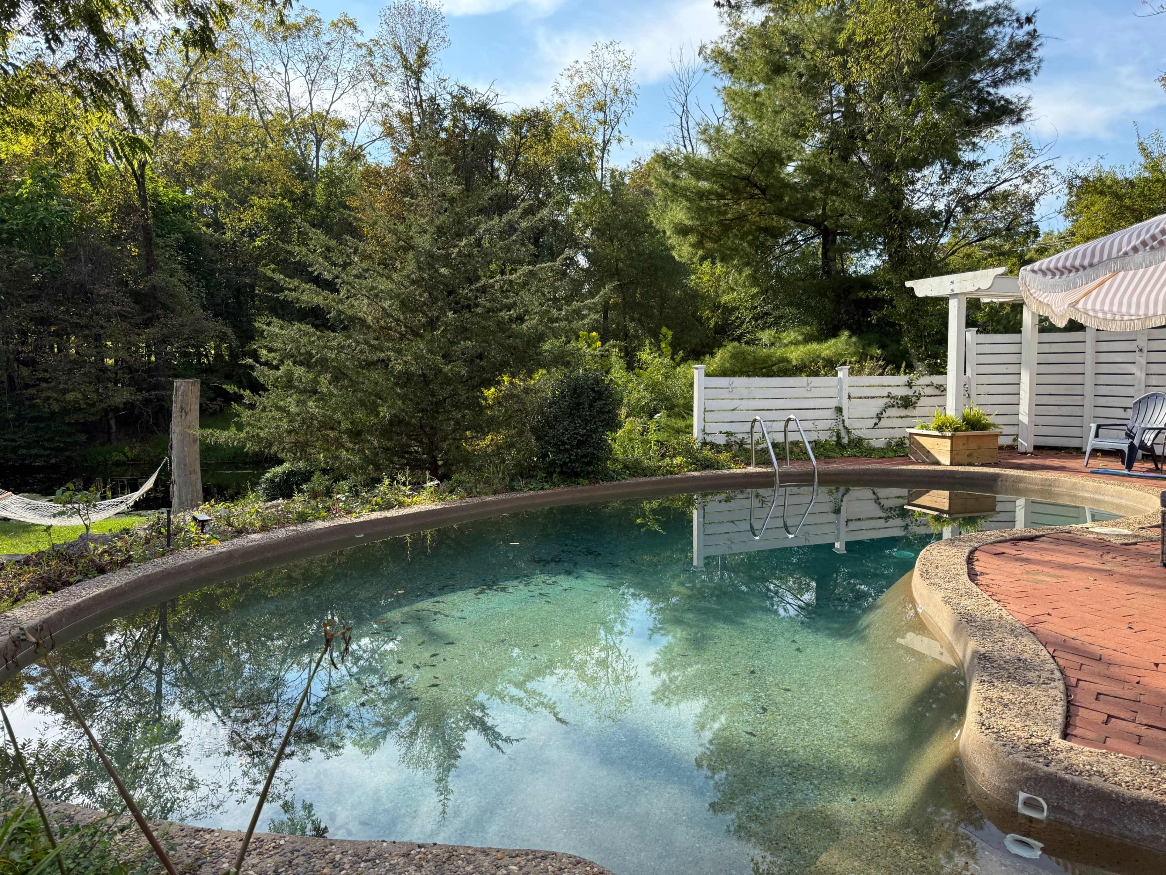 Dreamy Backyard with Pool and Water Views Image in Wycombe, Furlong, PA
