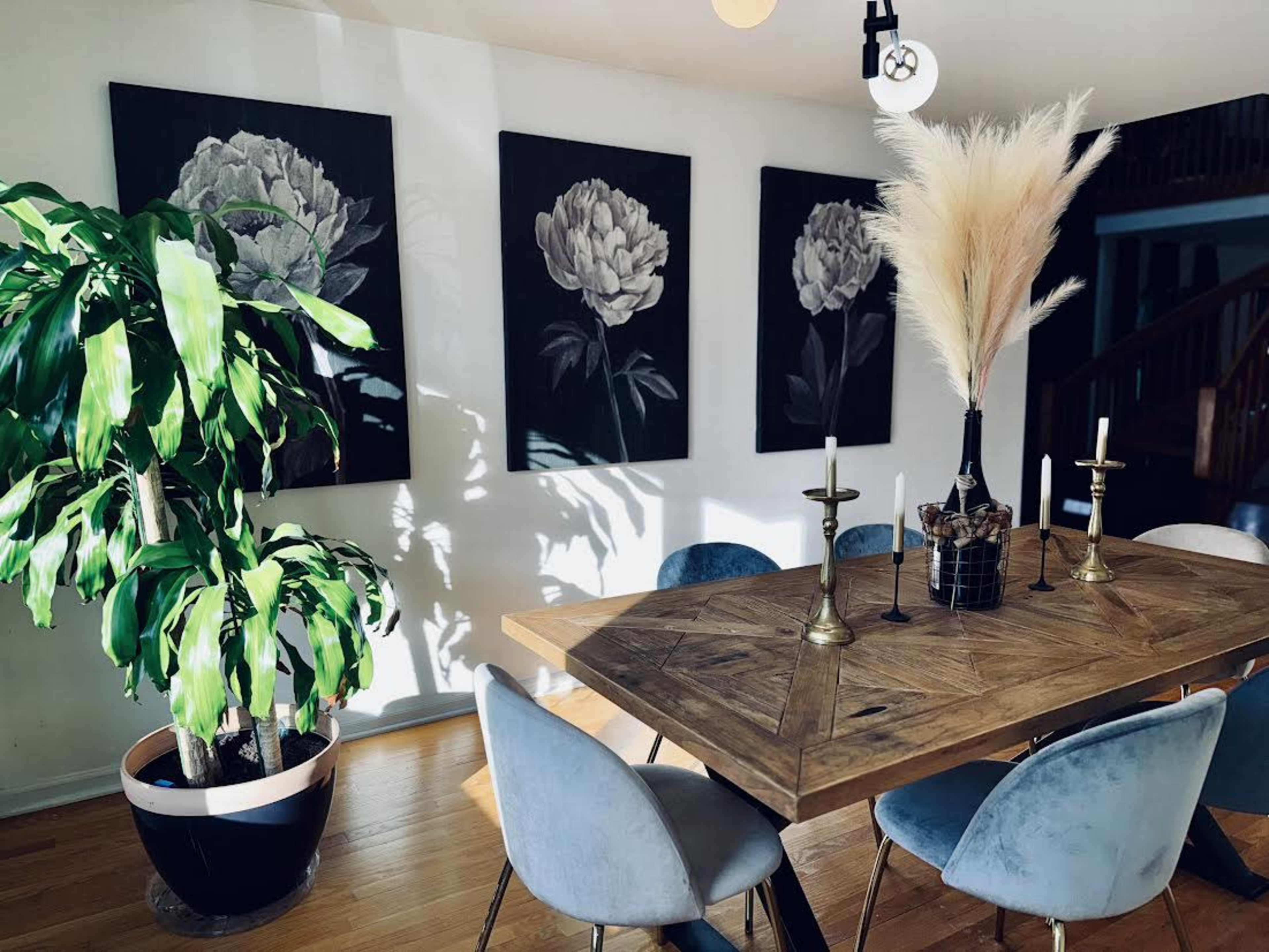 A dining area features a wooden table surrounded by blue chairs, with a large potted plant in one corner and framed art on the walls.
