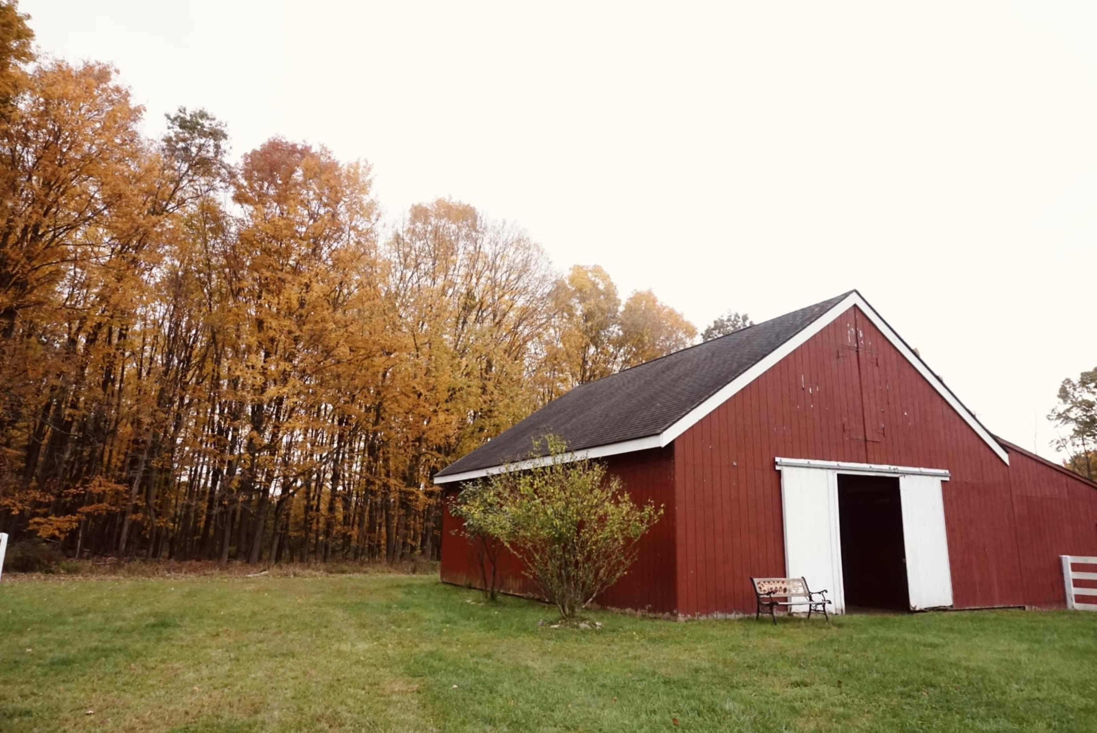 A red barn with a white door stands adjacent to a grove of autumn-colored trees.