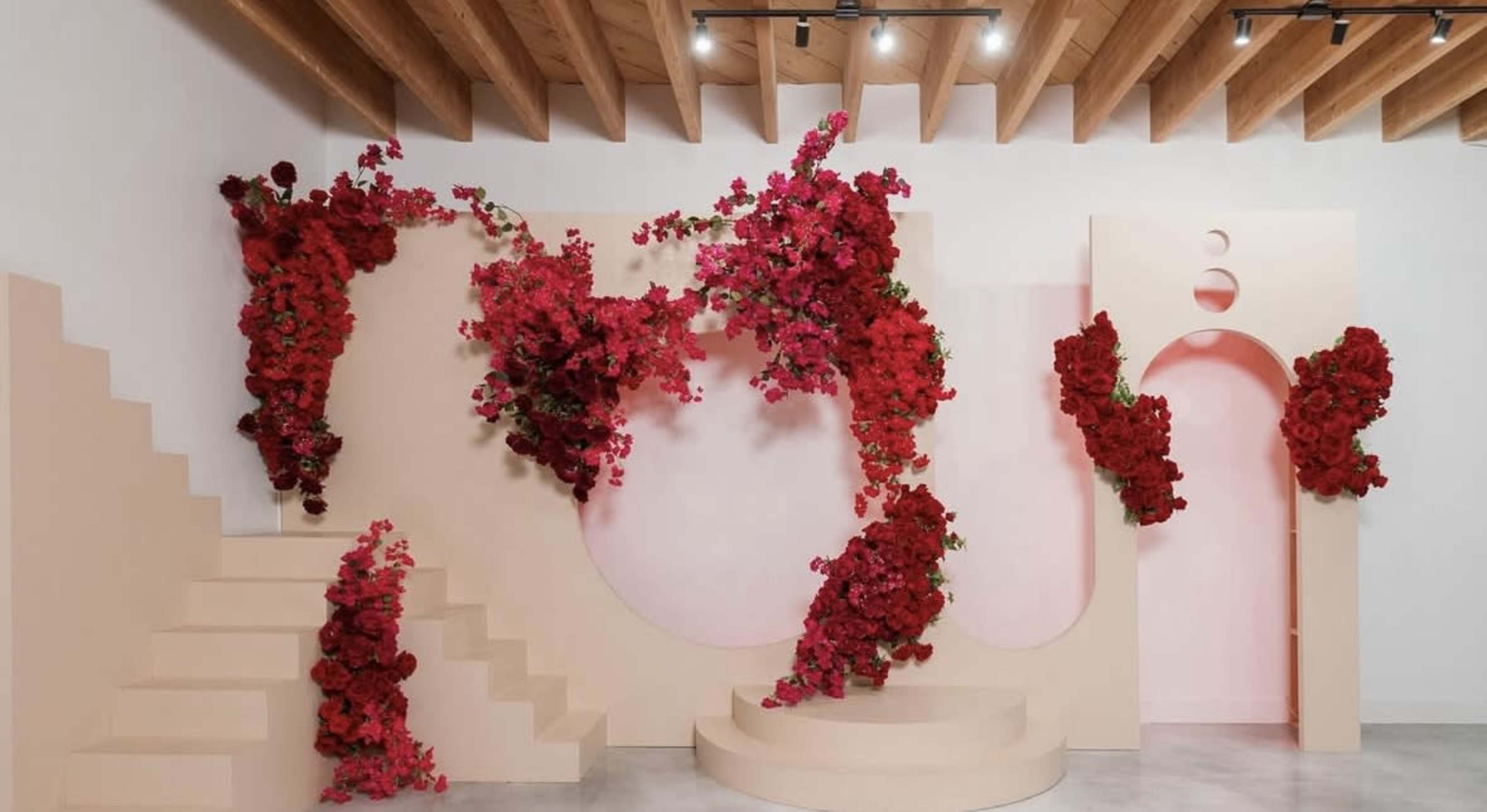 Dallas's LED-Lit Studio: Perfect for Fashion & Music Videos Image in Dallas, Dallas, TX