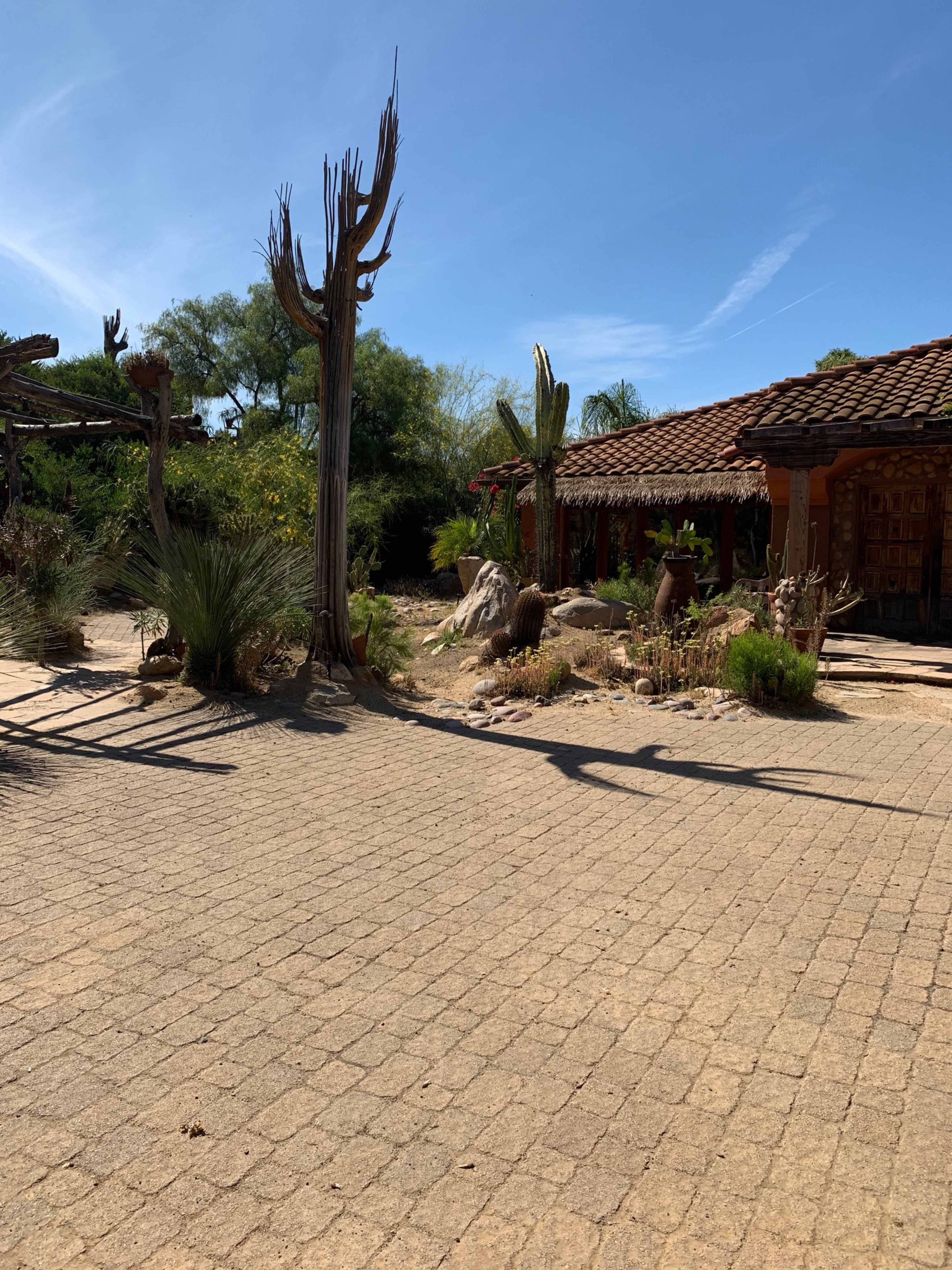 The scene shows a landscaped courtyard featuring cacti and stone paths, with a house in the background surrounded by desert vegetation under a clear blue sky.