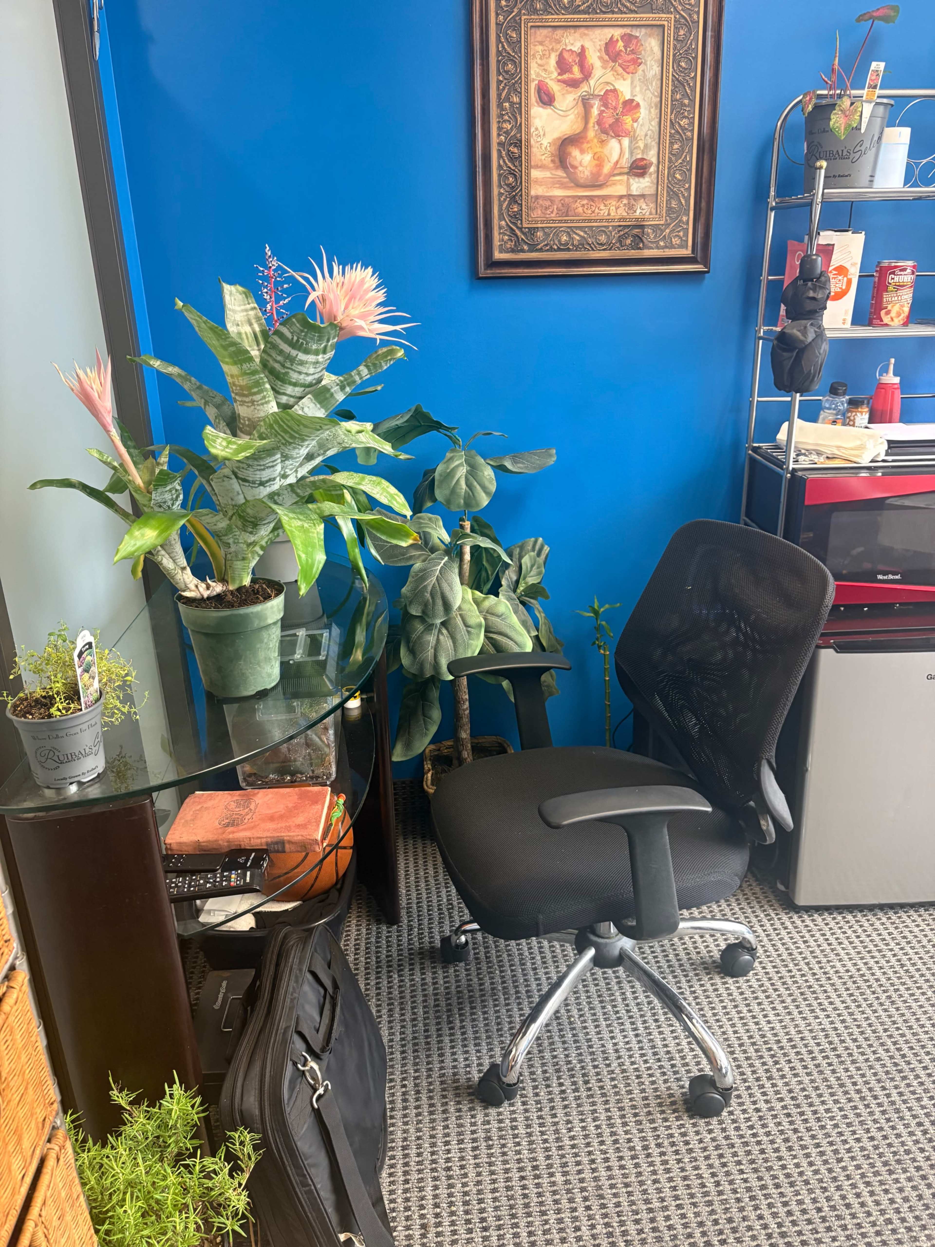 The image shows a corner of a room featuring a black office chair next to a glass table with plants and a framed artwork on the blue wall.